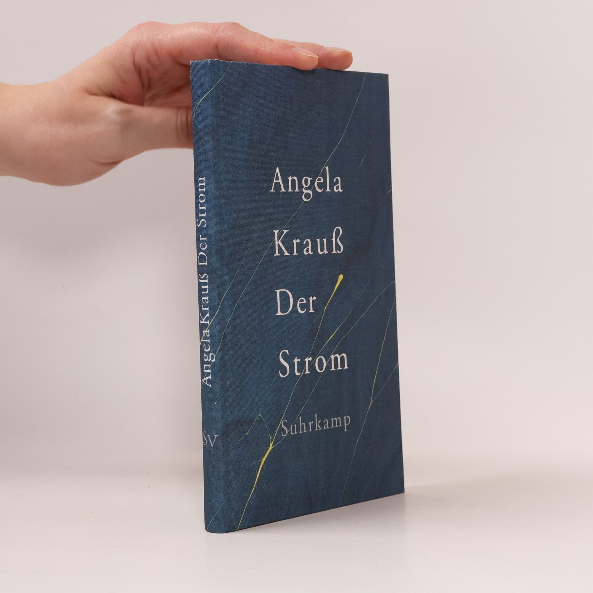 Der Strom