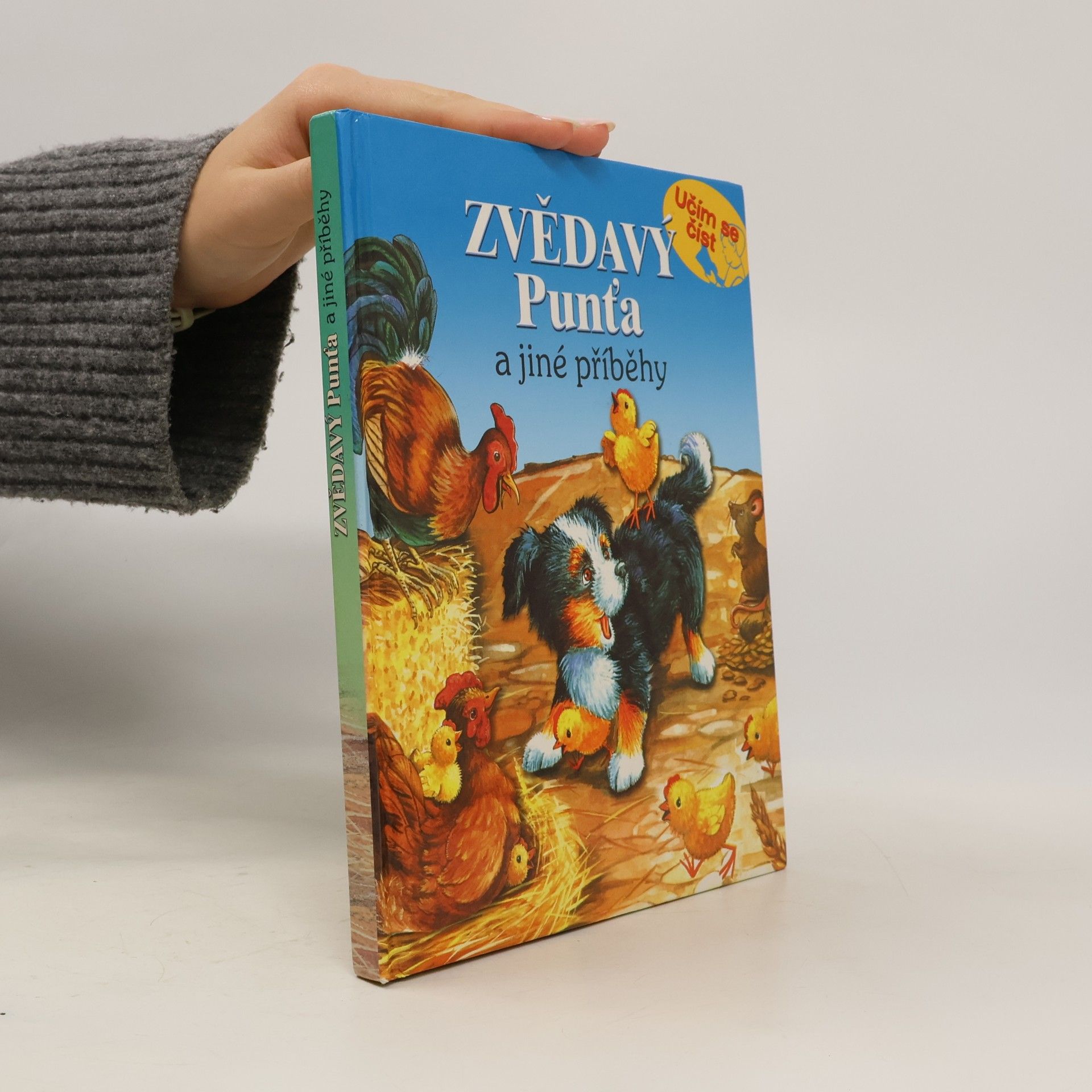 Collectif d'auteurs Zvědavý Punťa a jiné příběhy