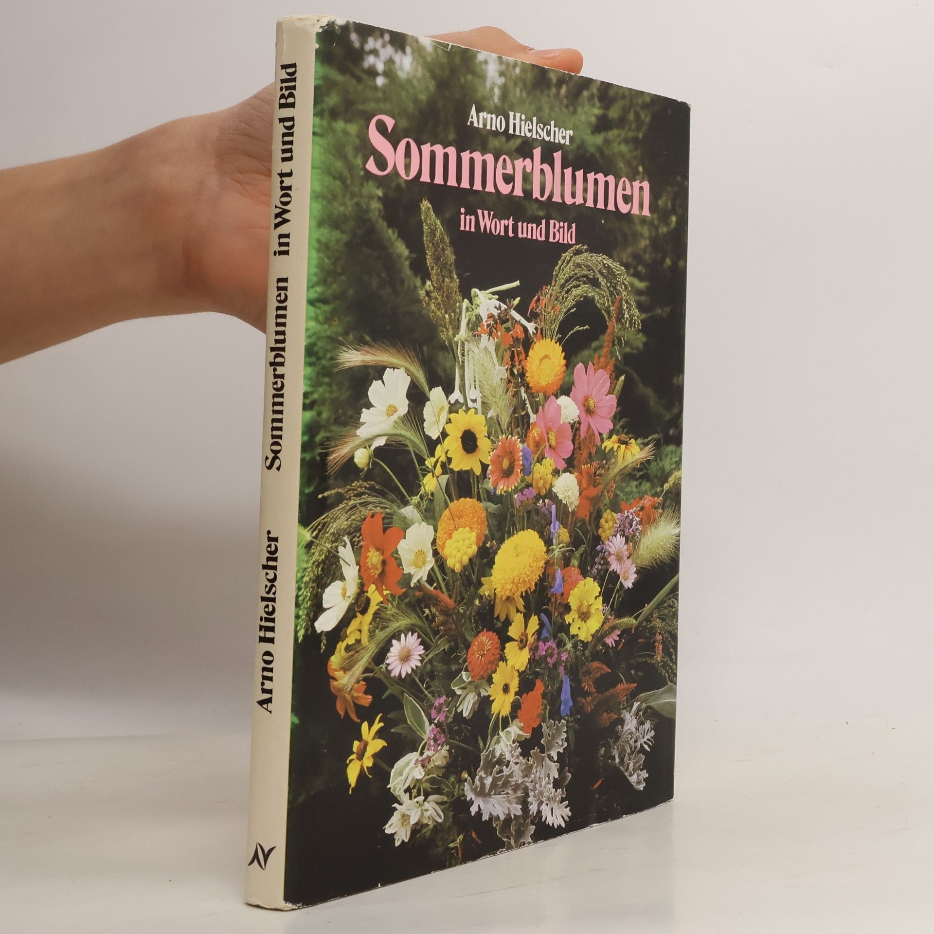 Sommerblumen in Wort und Bild