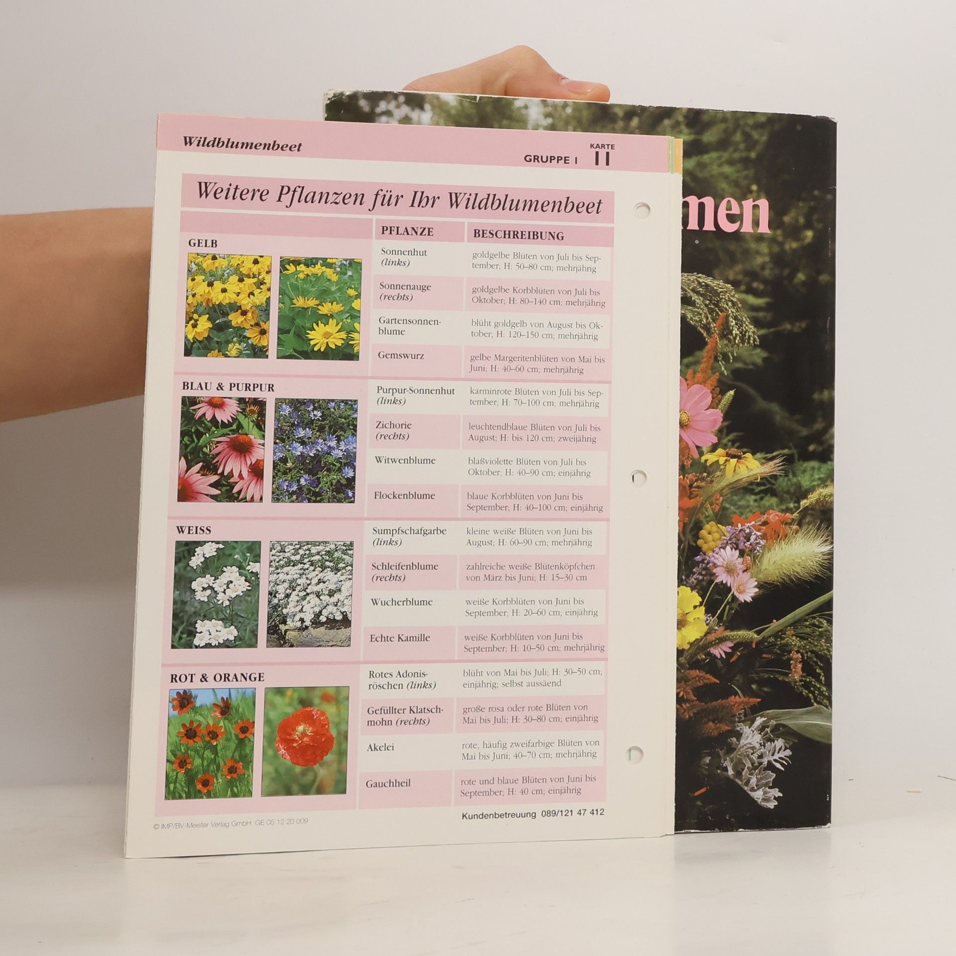 Arno Hielscher Sommerblumen in Wort und Bild