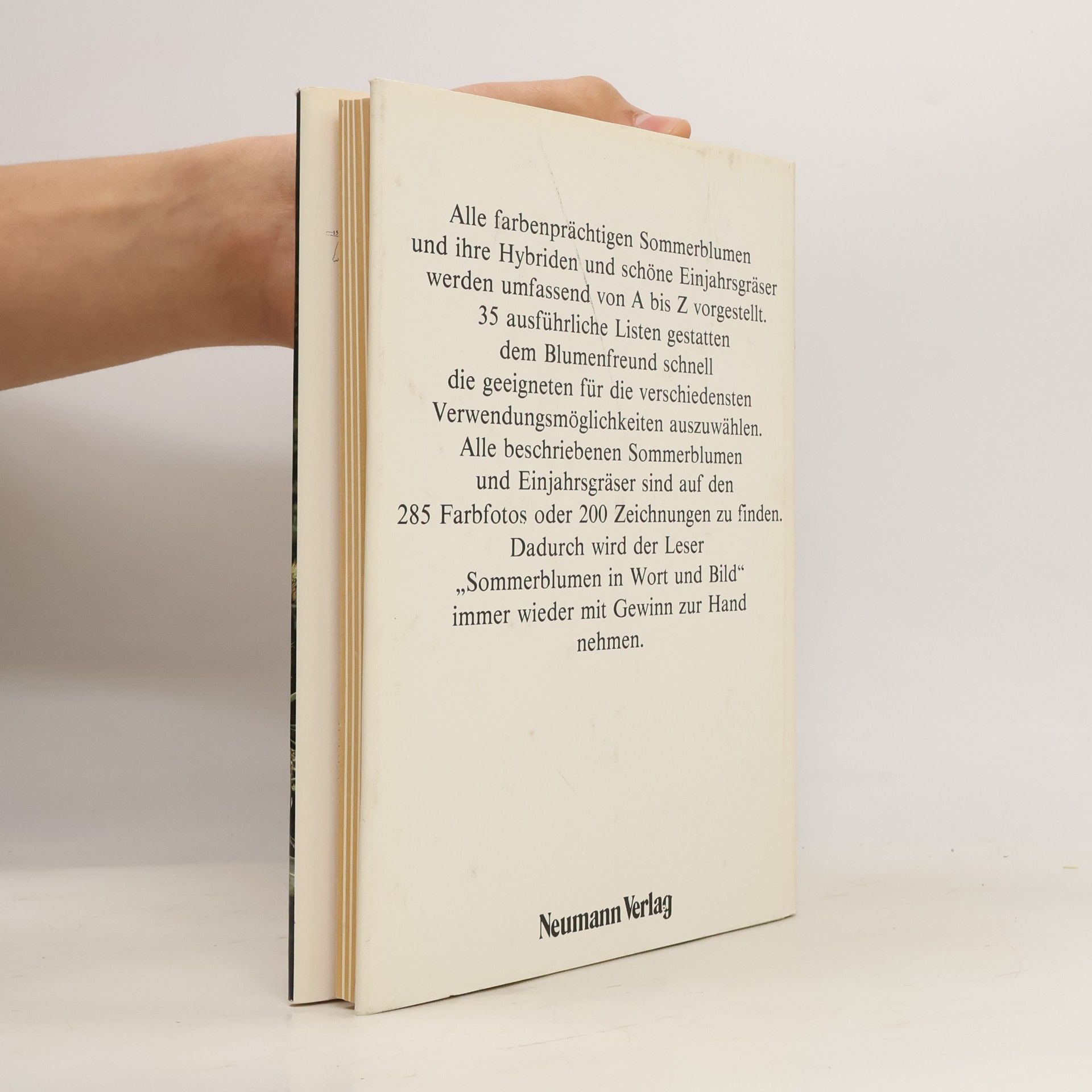 Arno Hielscher Sommerblumen in Wort und Bild