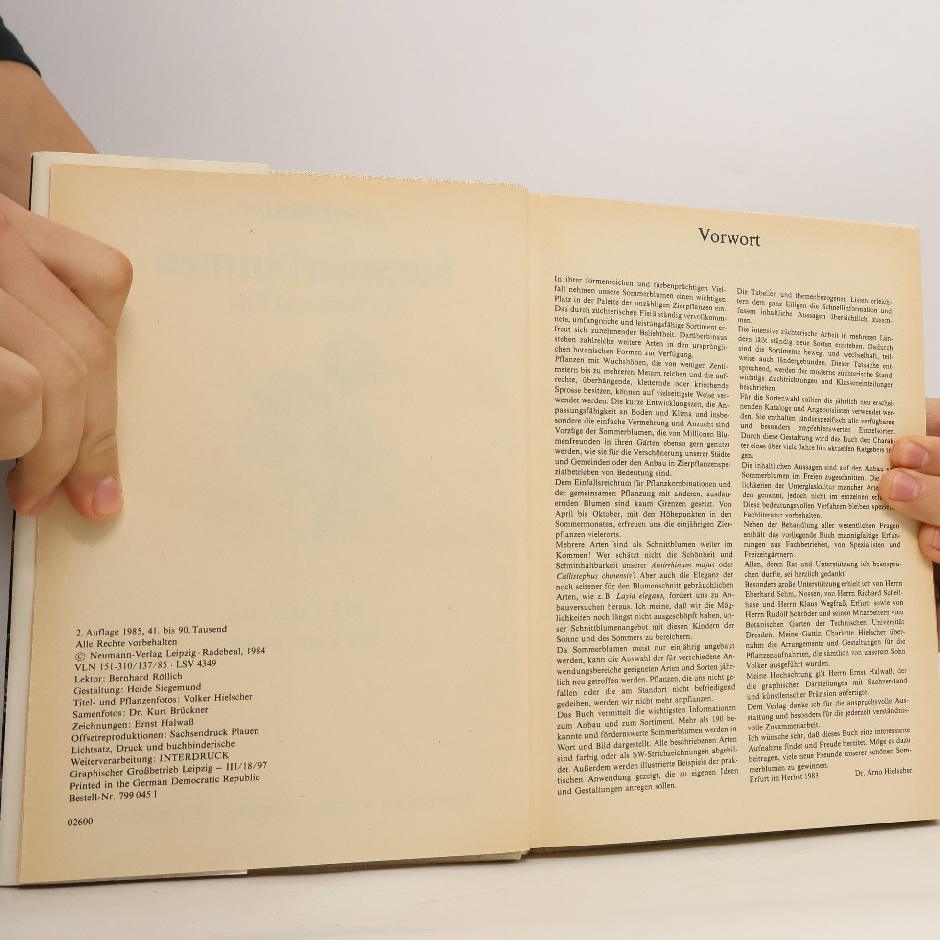 Arno Hielscher Sommerblumen in Wort und Bild