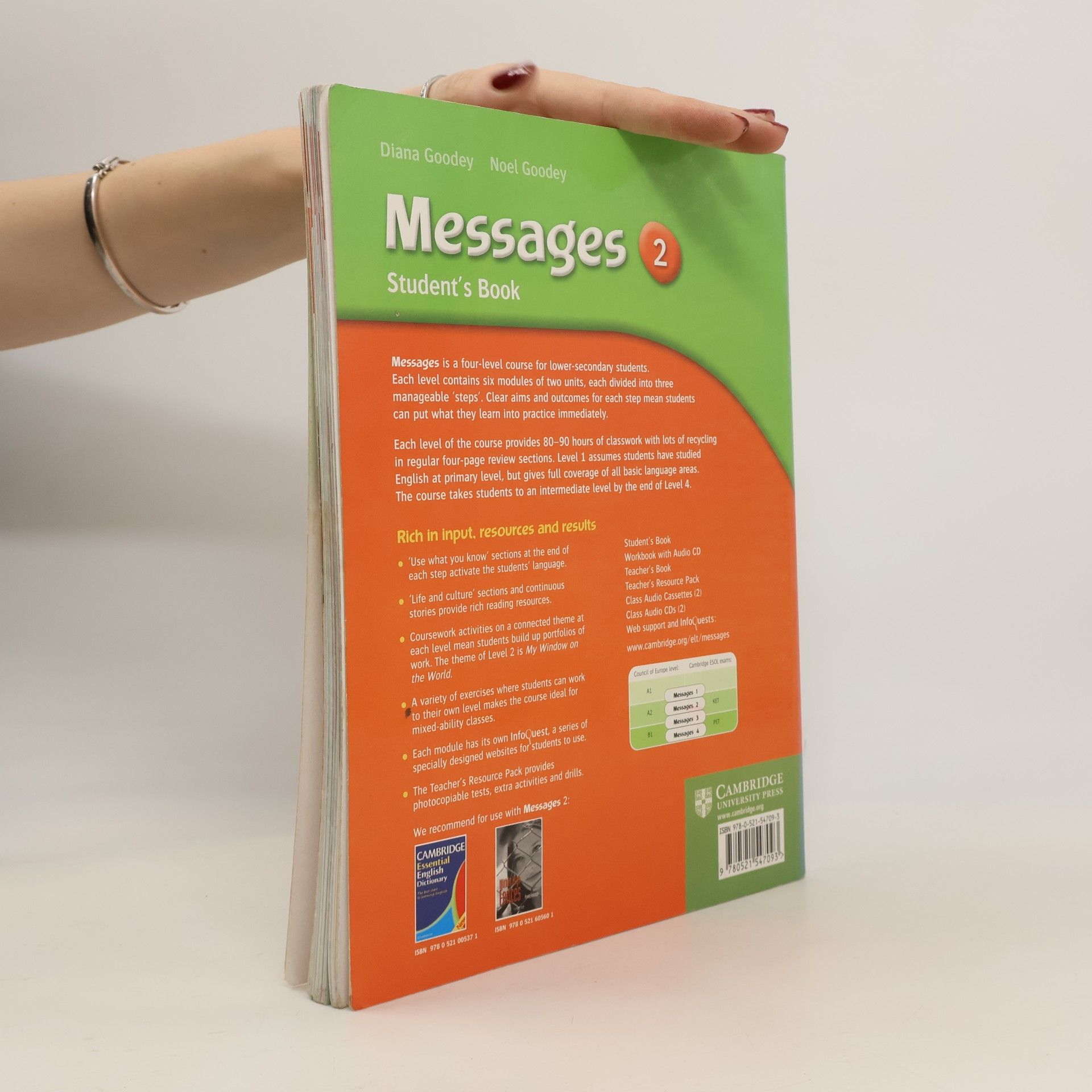 Diana Gibbs Goodey Messages 2