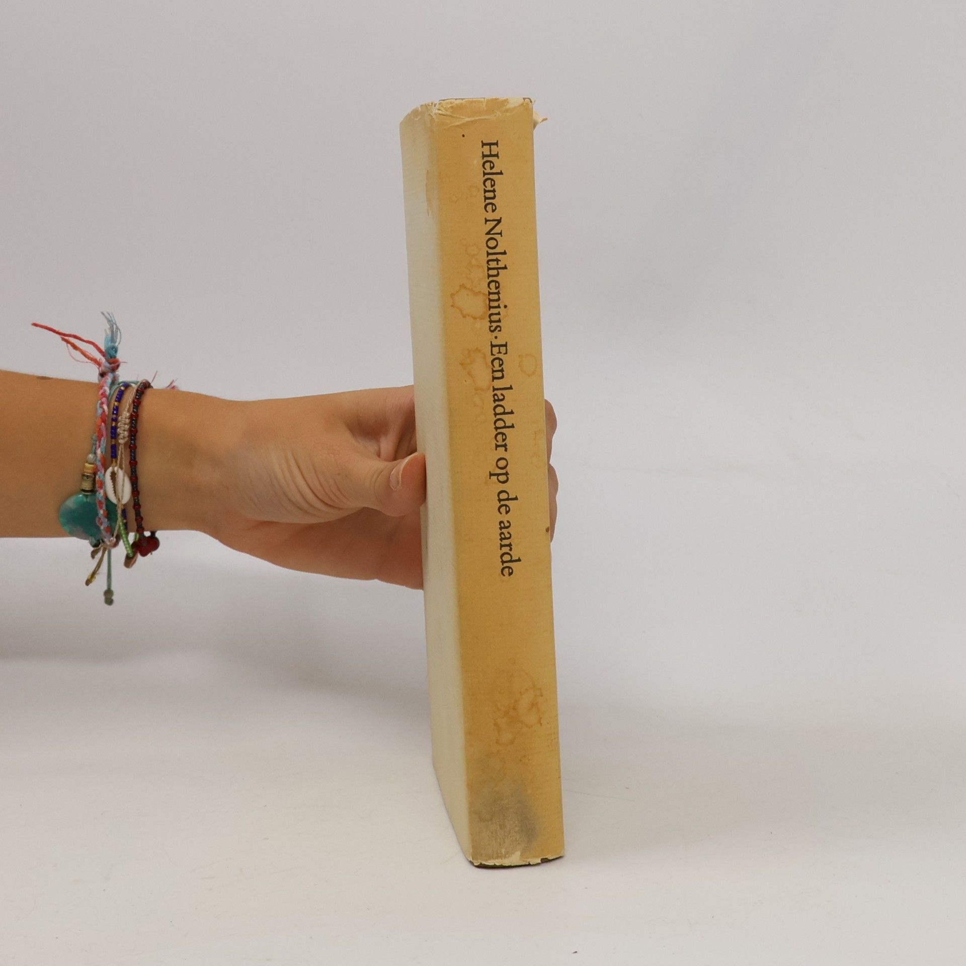 Héléne Nolthenius Een ladder op de aarde