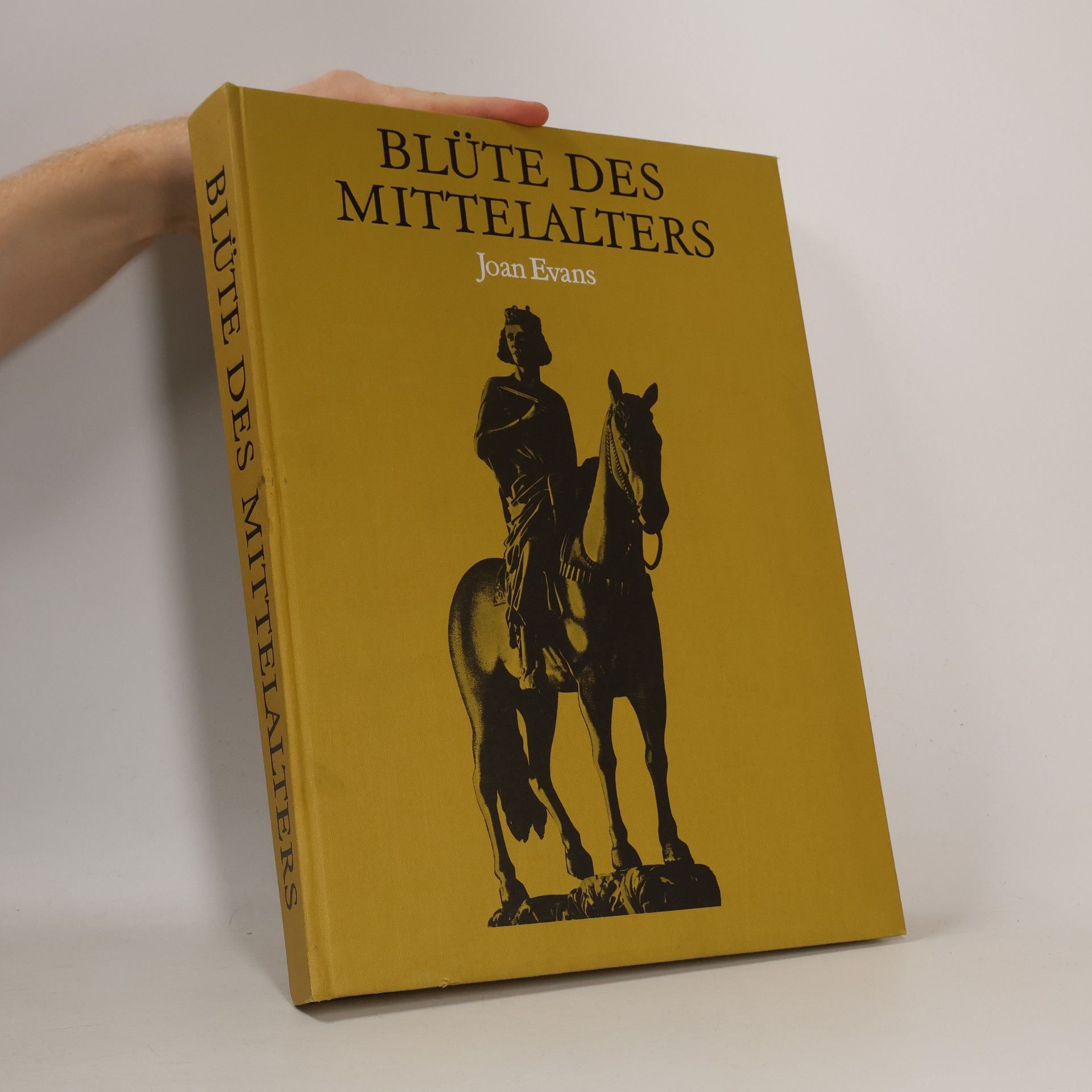 Joan Evans Blüte des Mittelalters