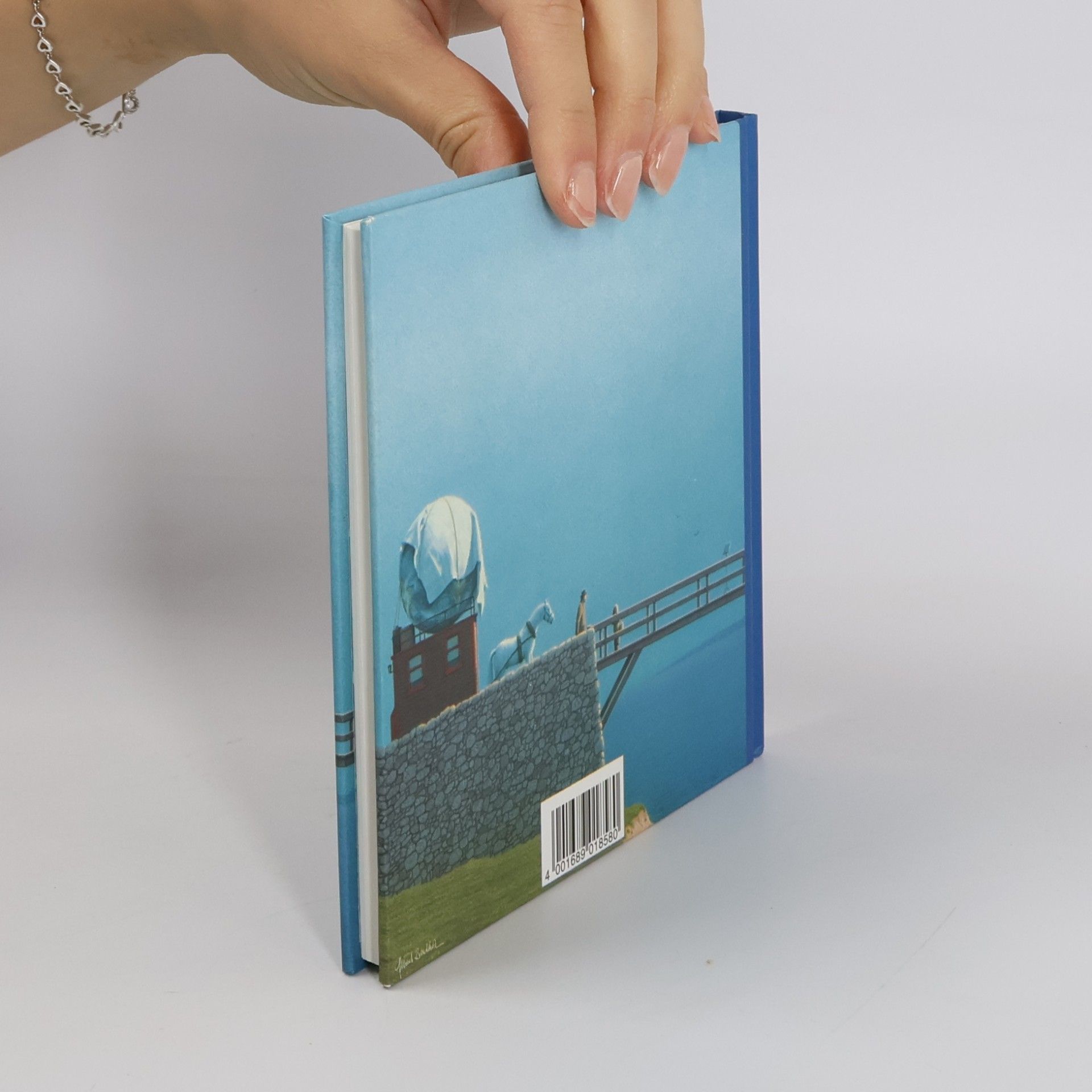 Michael Sowa Eine Art Buch