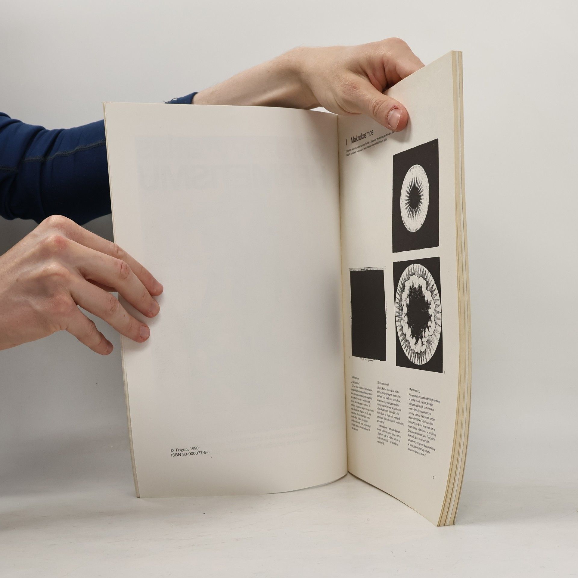 D. Ž. Bor Obrazový atlas hermetismu
