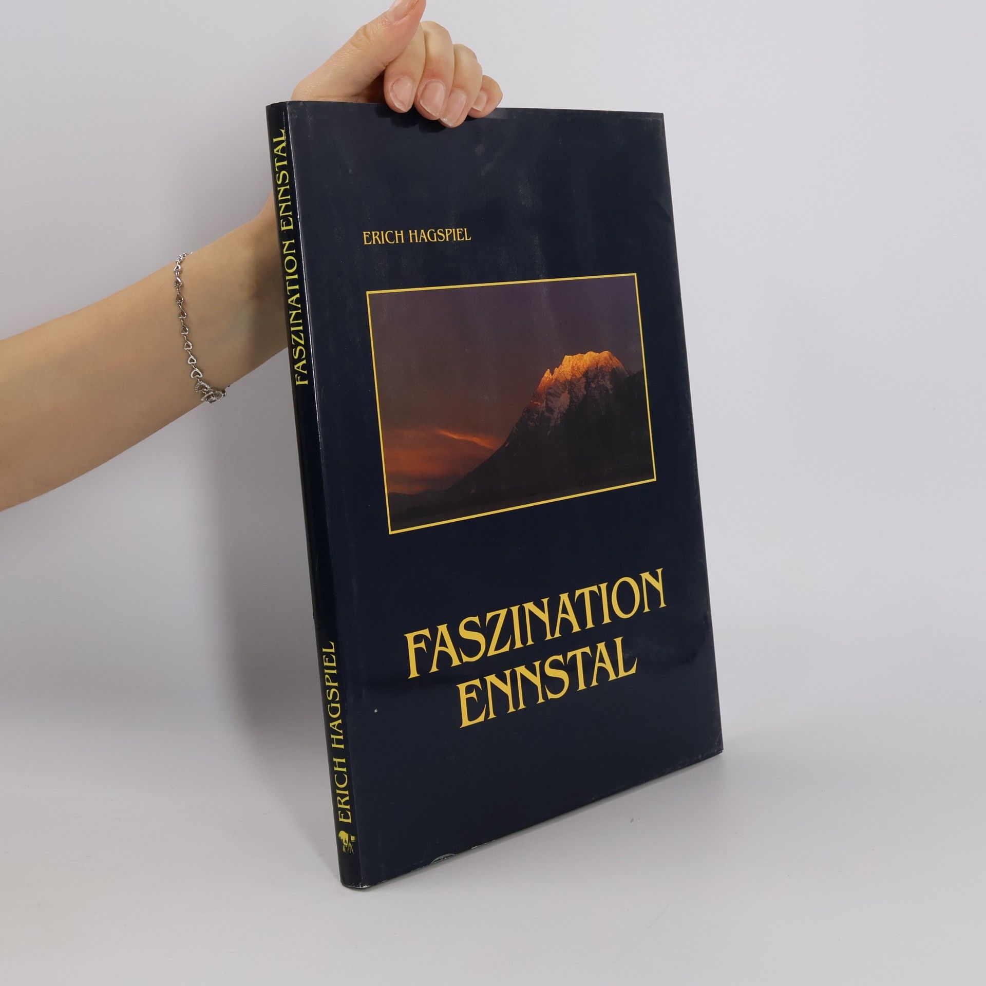 Erich Hagspiel Faszination Ennstal