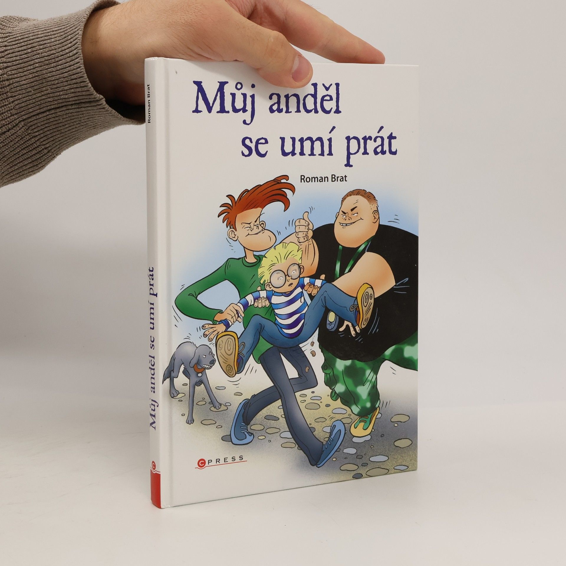 Roman Brat Můj anděl se umí prát