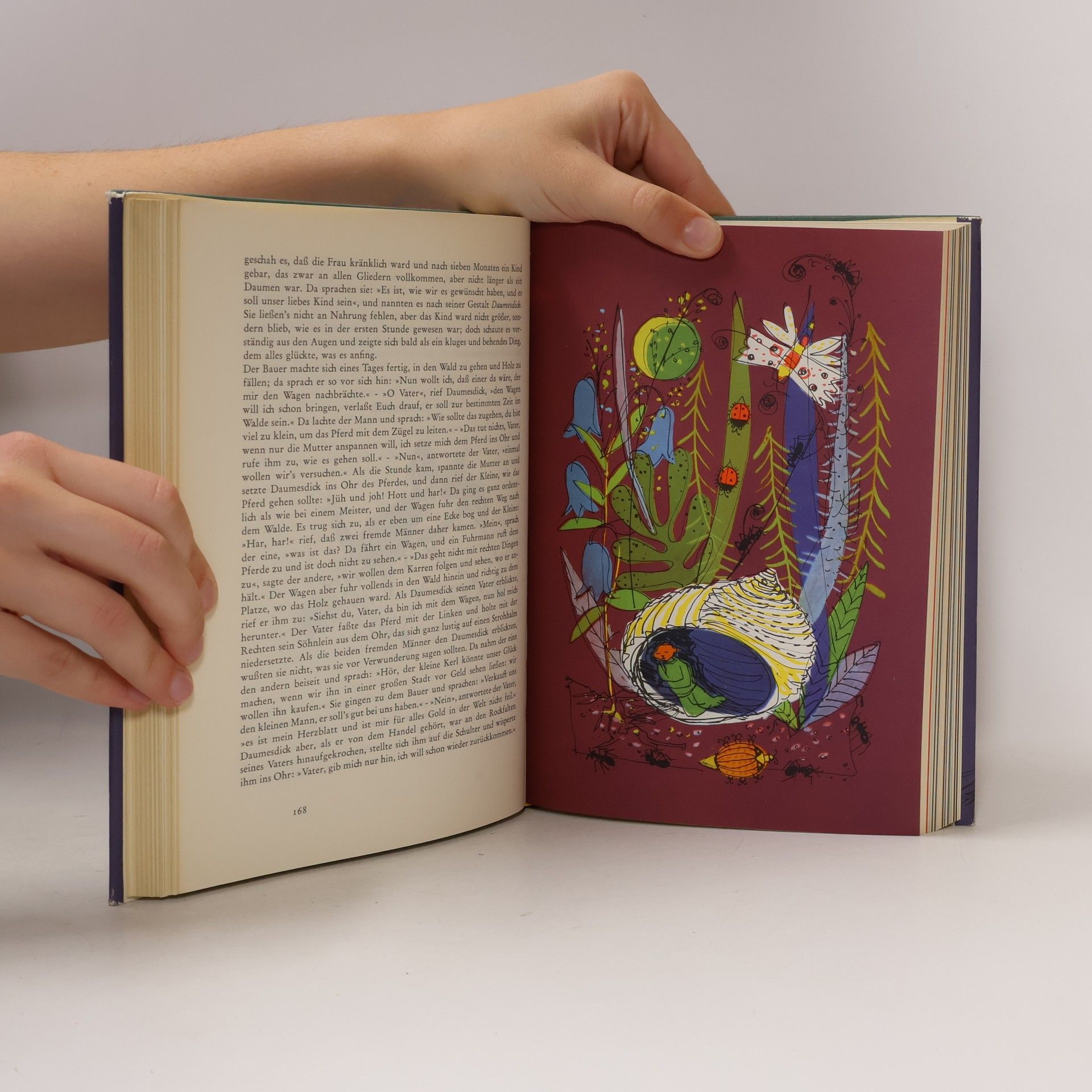 Jacob Grimm Grimms Märchen