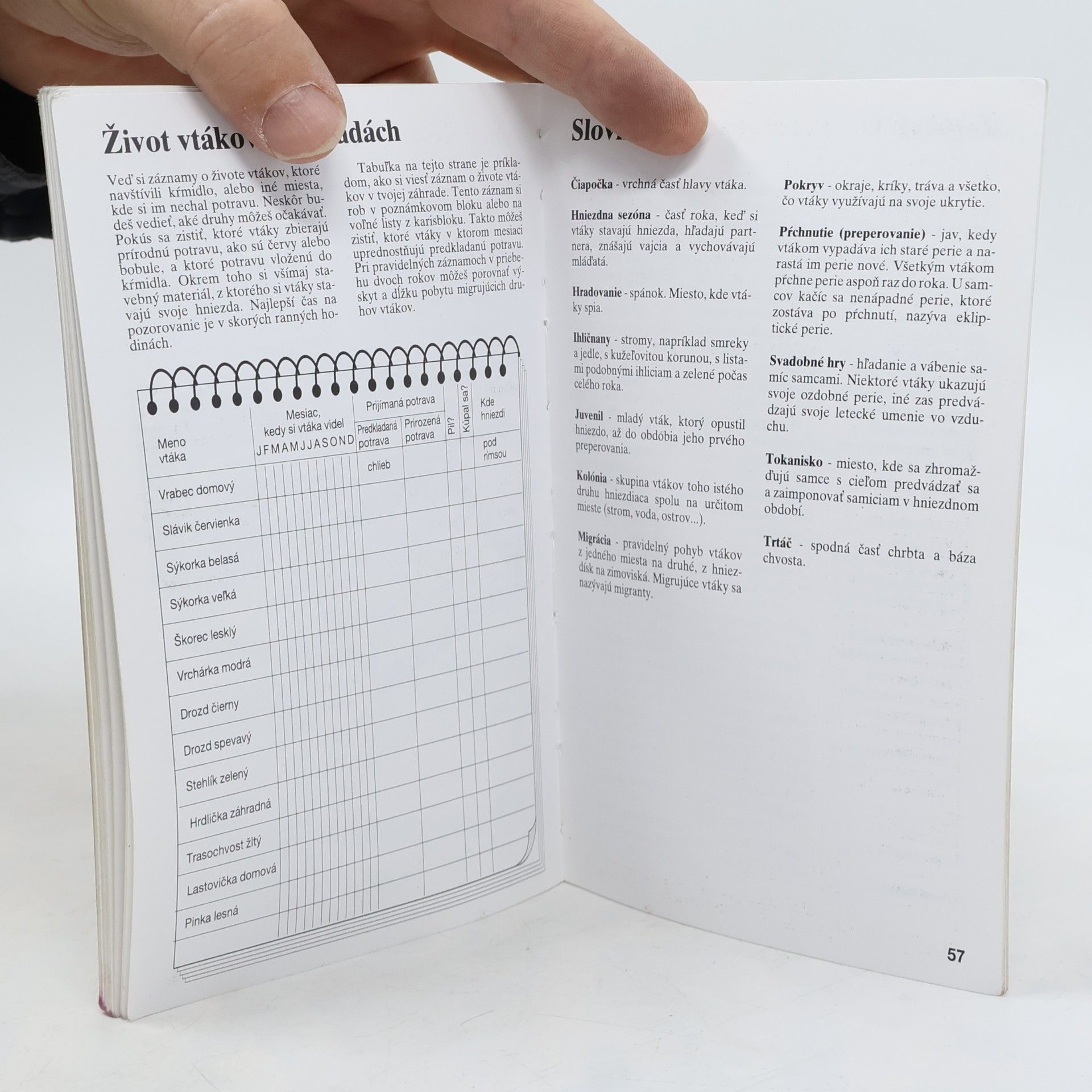 Peter Holden Vtáky - príručka mladého prírodovedca