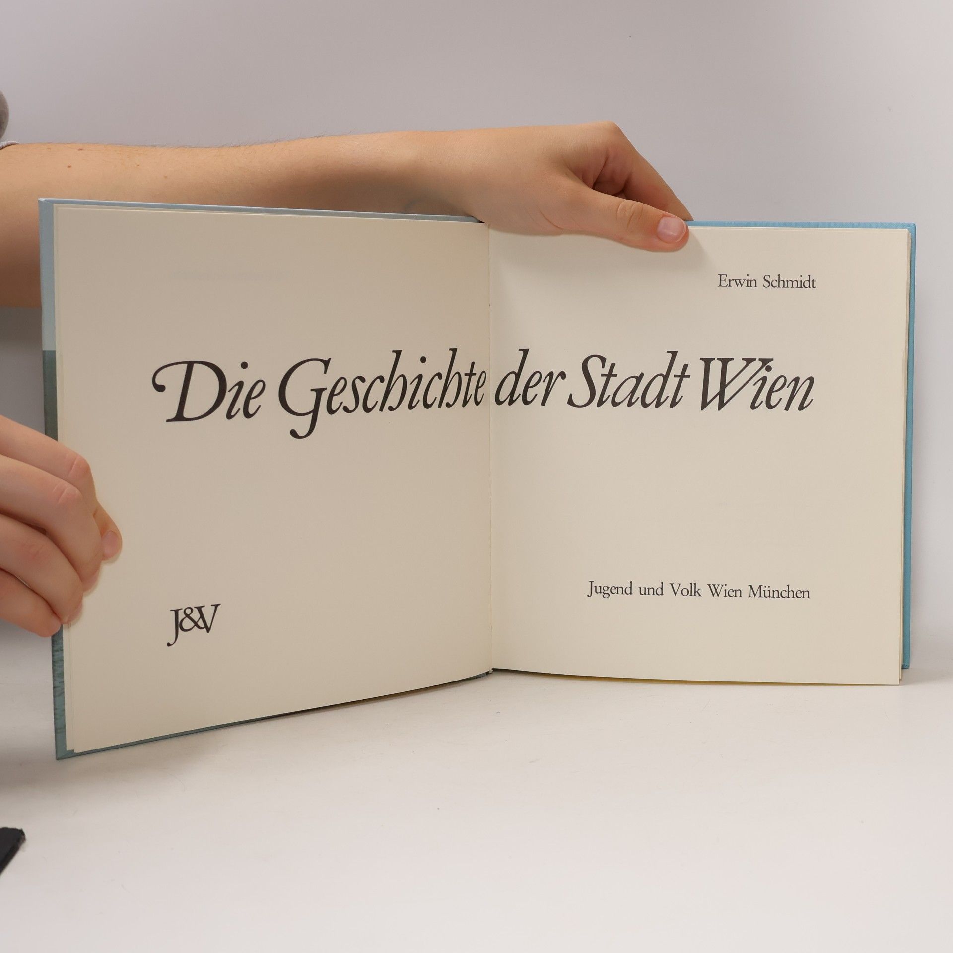 Erwin Schmidt Die Geschichte der Stadt Wien