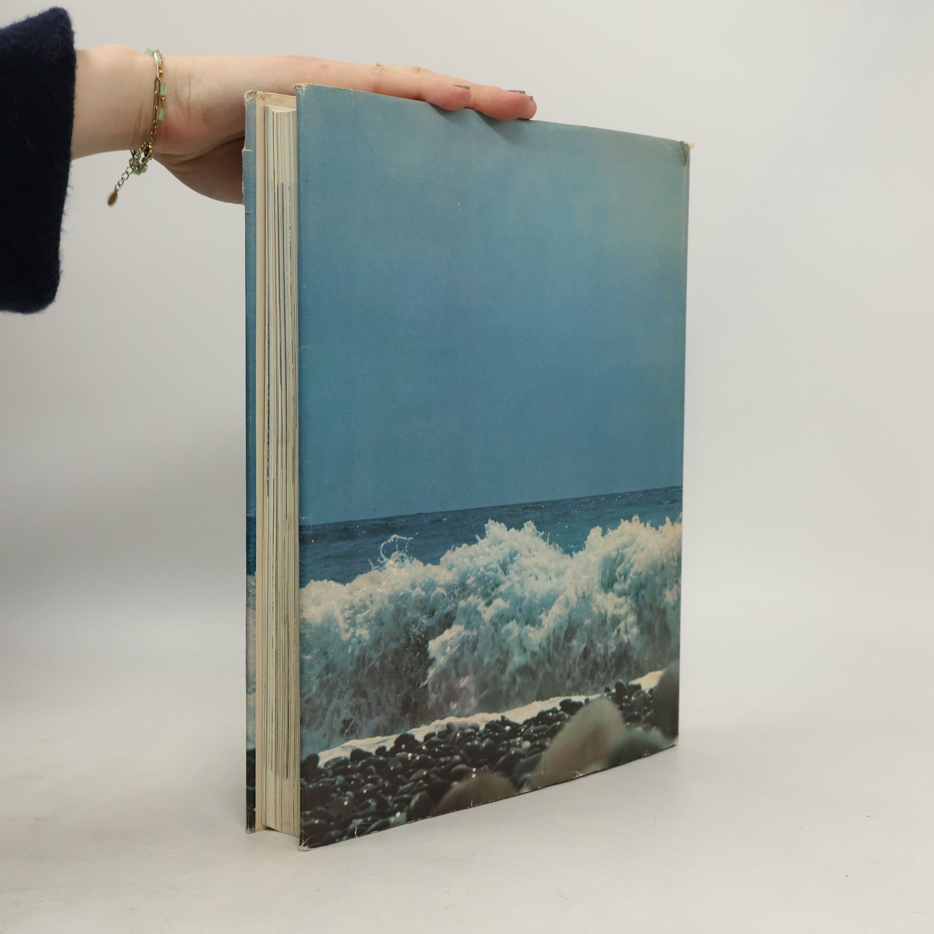 Robert Gerwin Das große Reader's Digest Buch der Ozeane