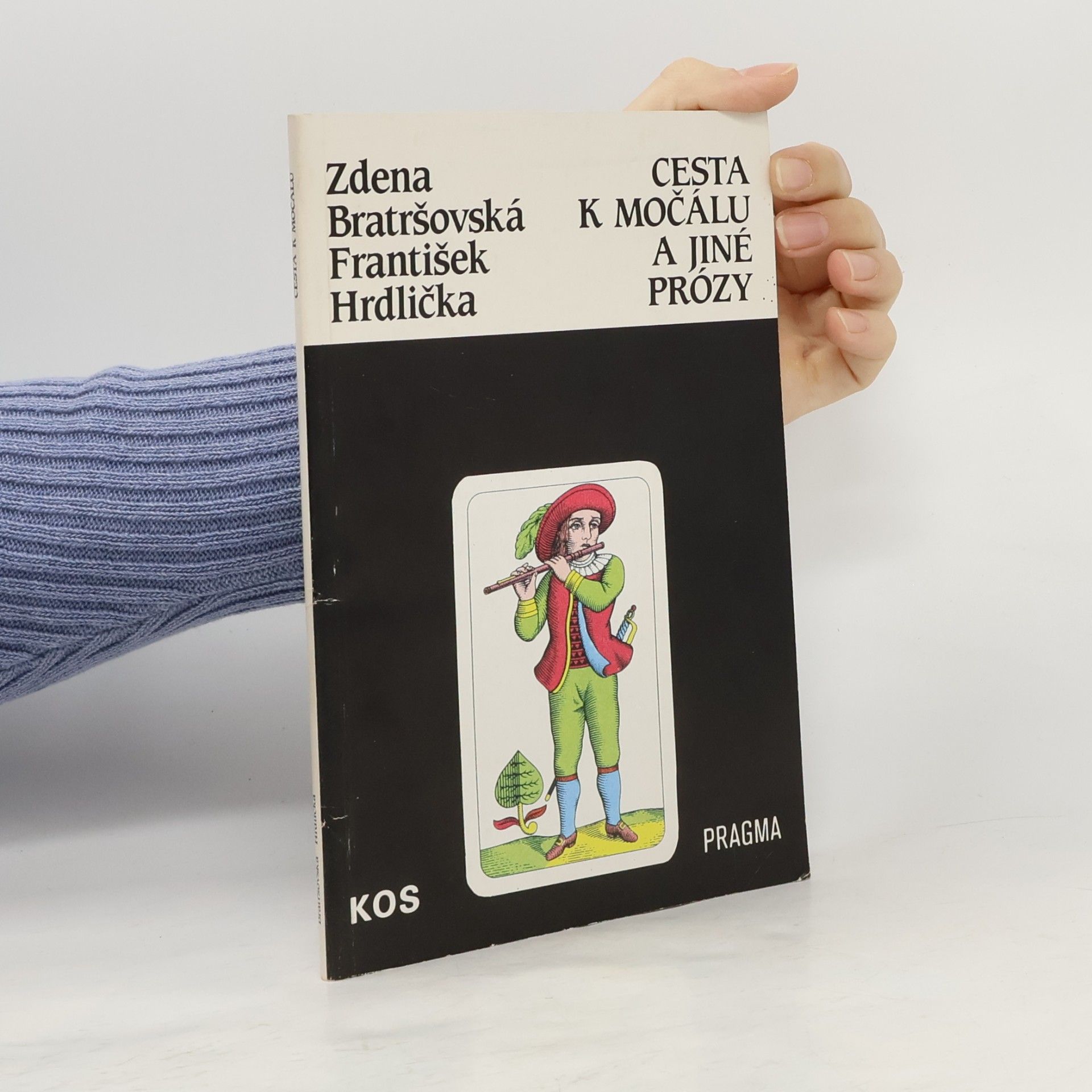 Cesta k močálu a jiné prózy