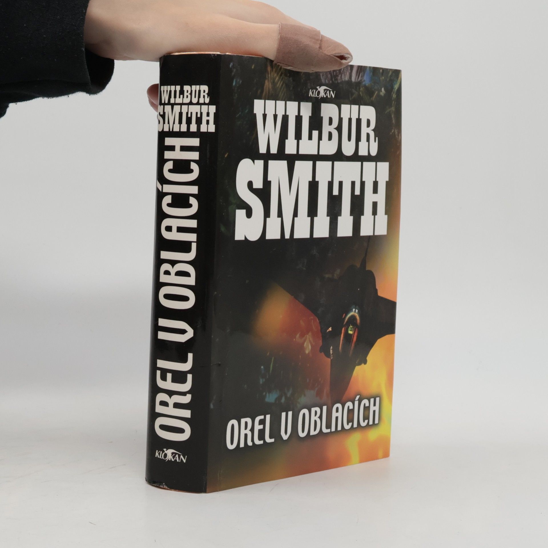 Wilbur Smith Orel v oblacích