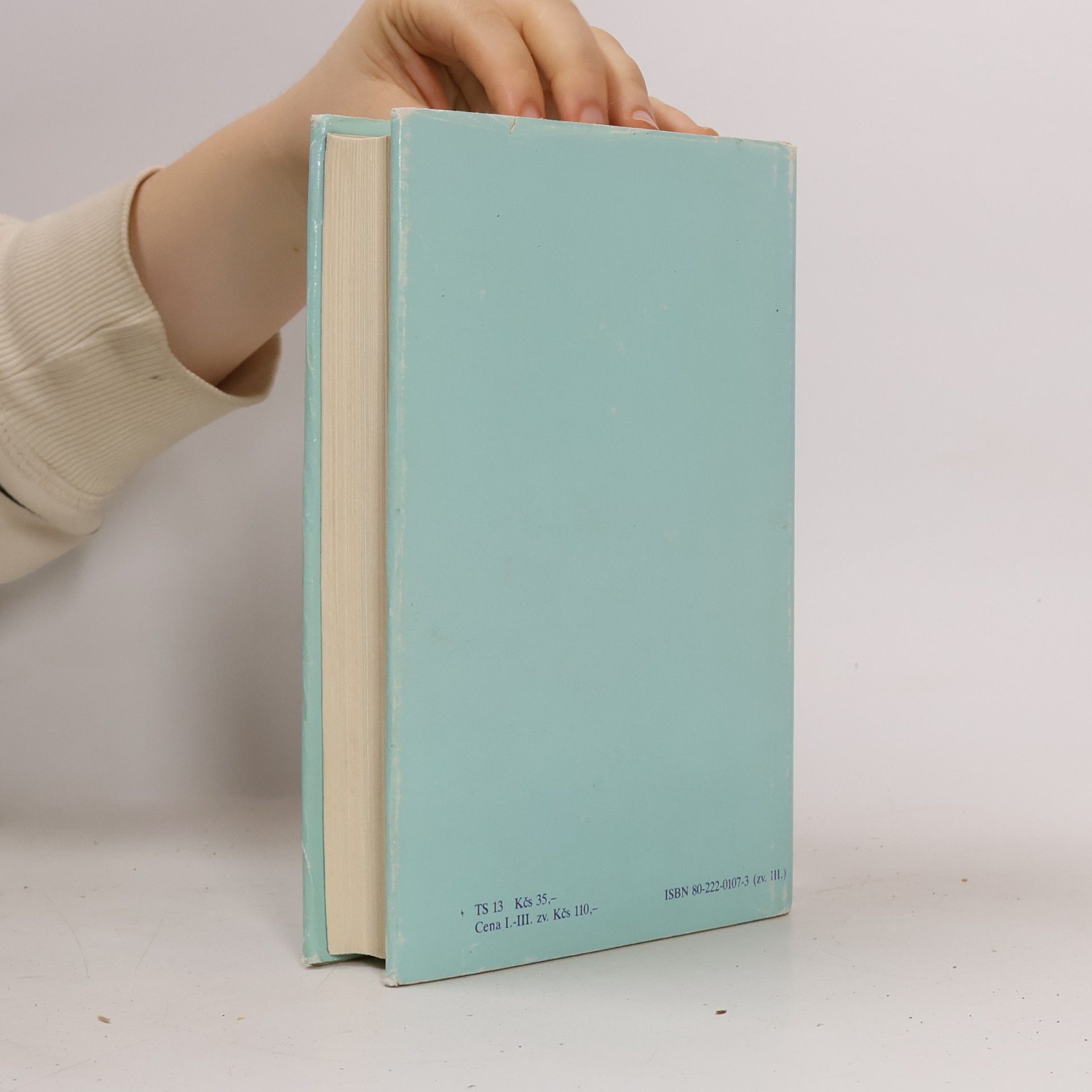 Gustave Flaubert Bouvard a Pécuchet. Listy o umení a literatúre