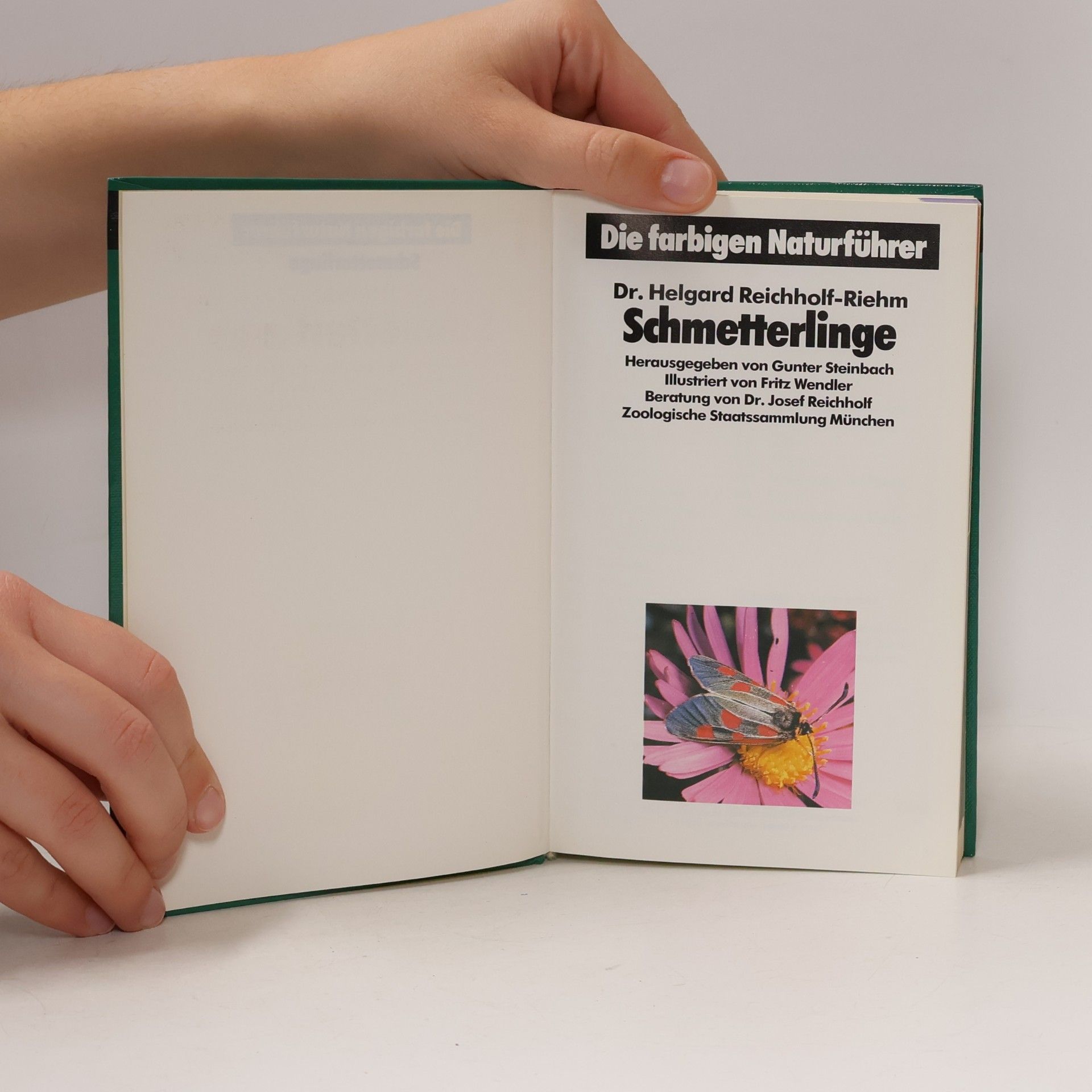 Autorenkollektiv Schmetterlinge