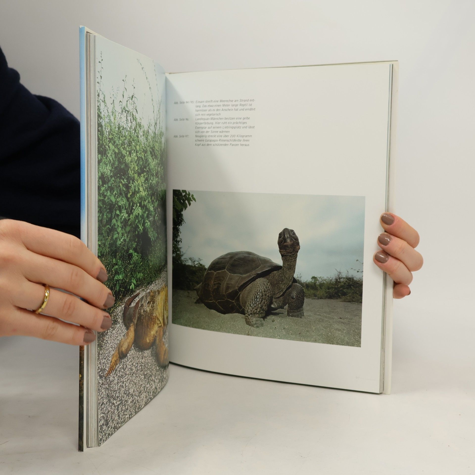 Ingo Arndt Tierreportagen aus aller Welt