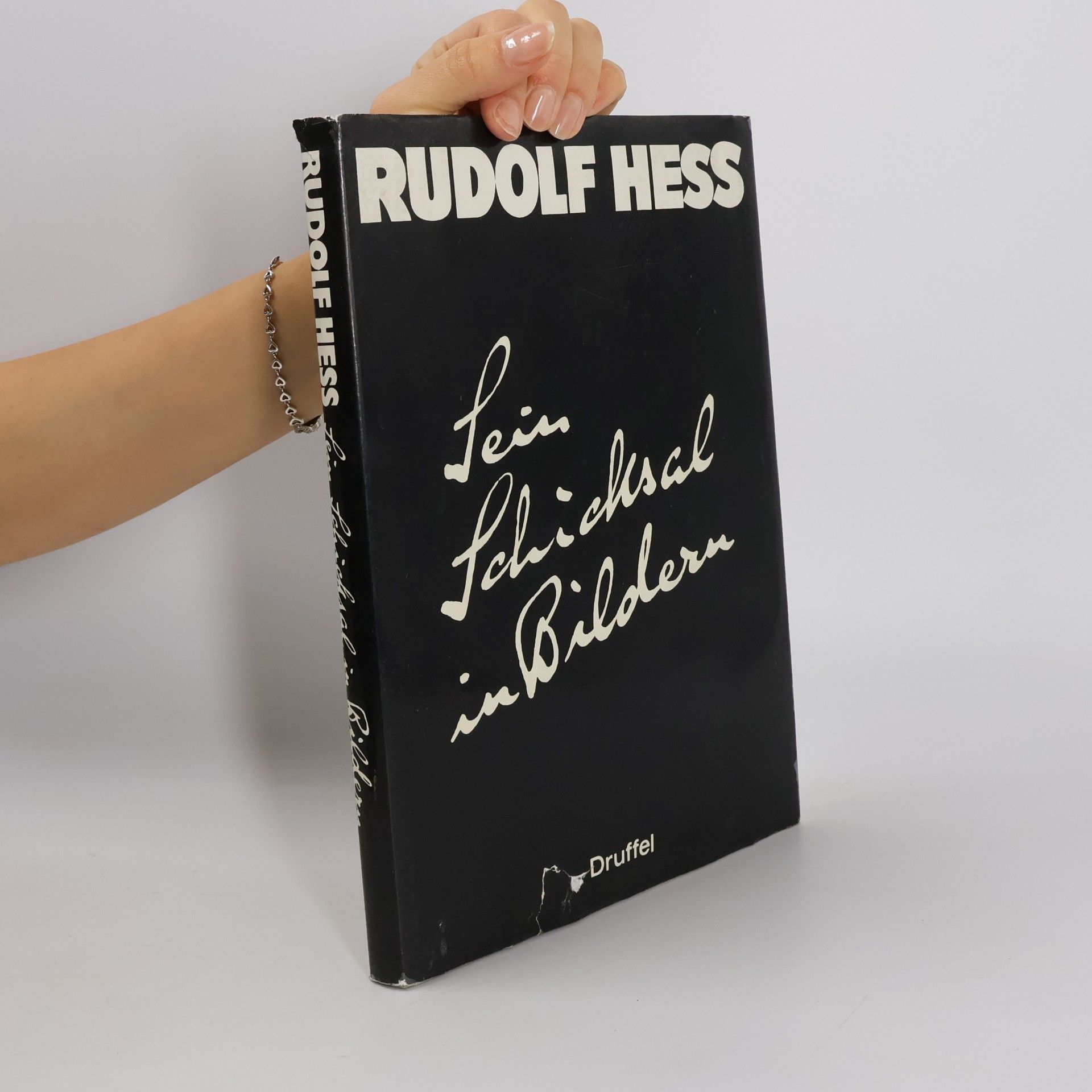 Sein Schicksal in Bildern