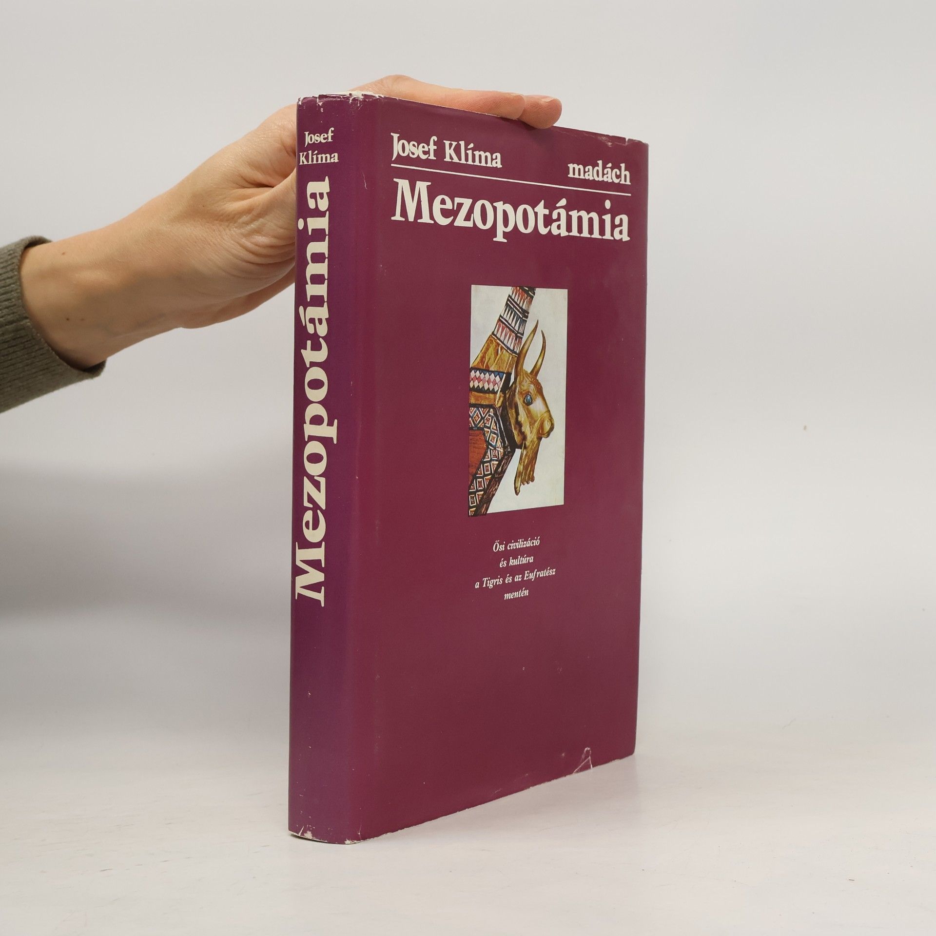 Josef Klíma Mezopotámia