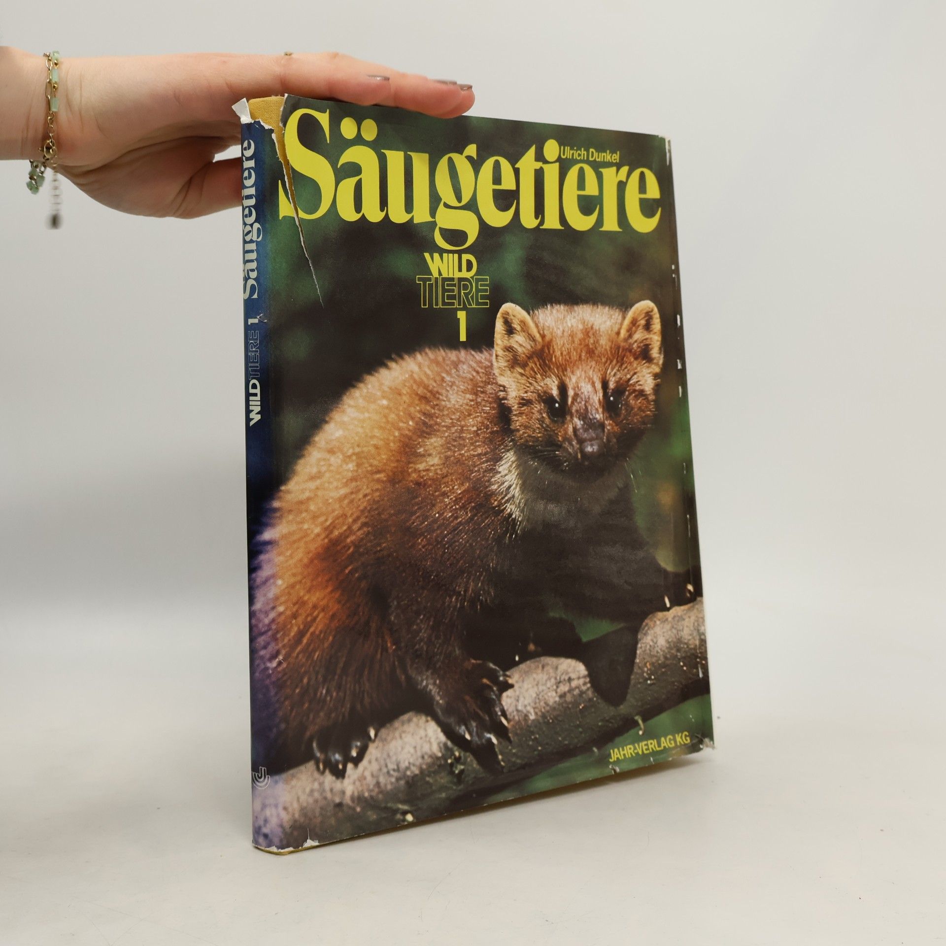Säugetiere. Wildtiere 1
