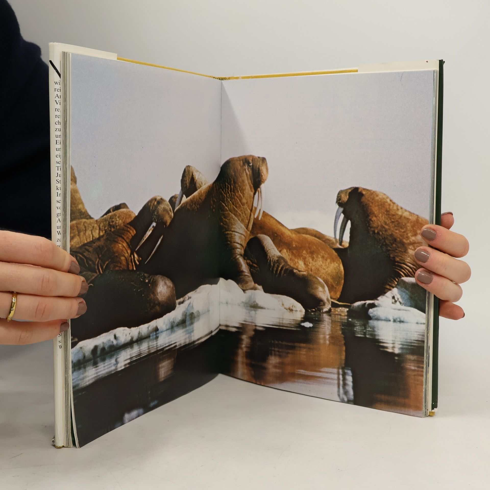 Ulrich Dunkel Säugetiere. Wildtiere 1
