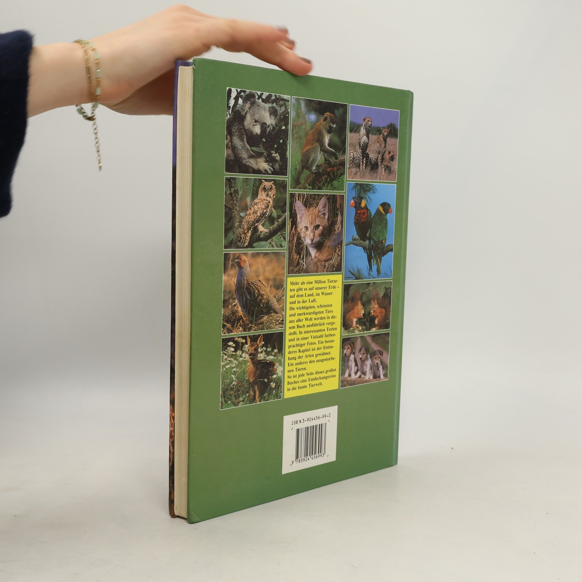 Christiane Müller Das grosse bunte Buch der 1000 Tiere