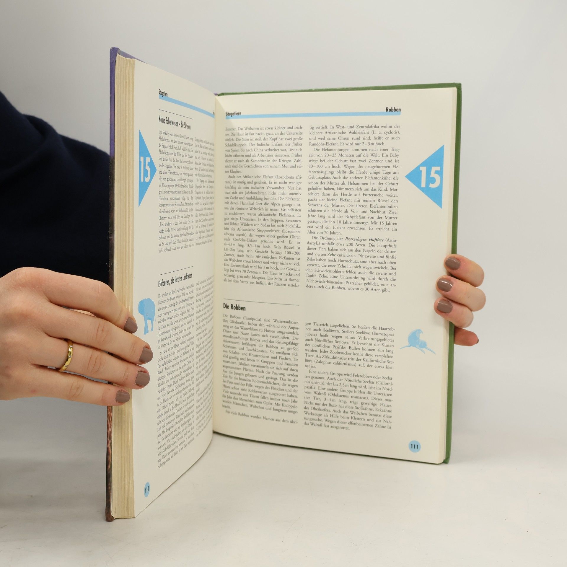 Christiane Müller Das grosse bunte Buch der 1000 Tiere