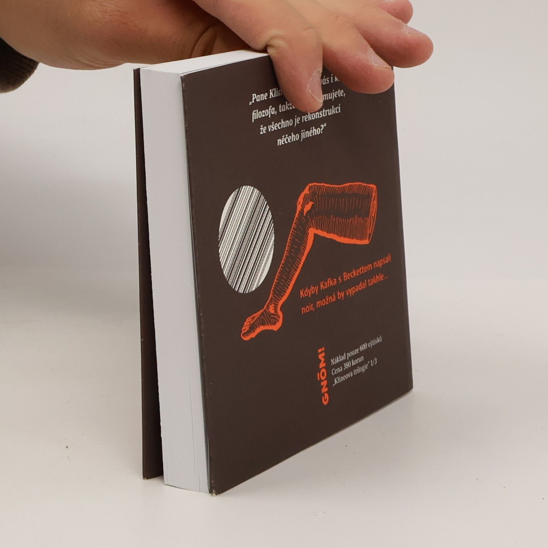 Brian Evenson Bratrstvo zmrzačených