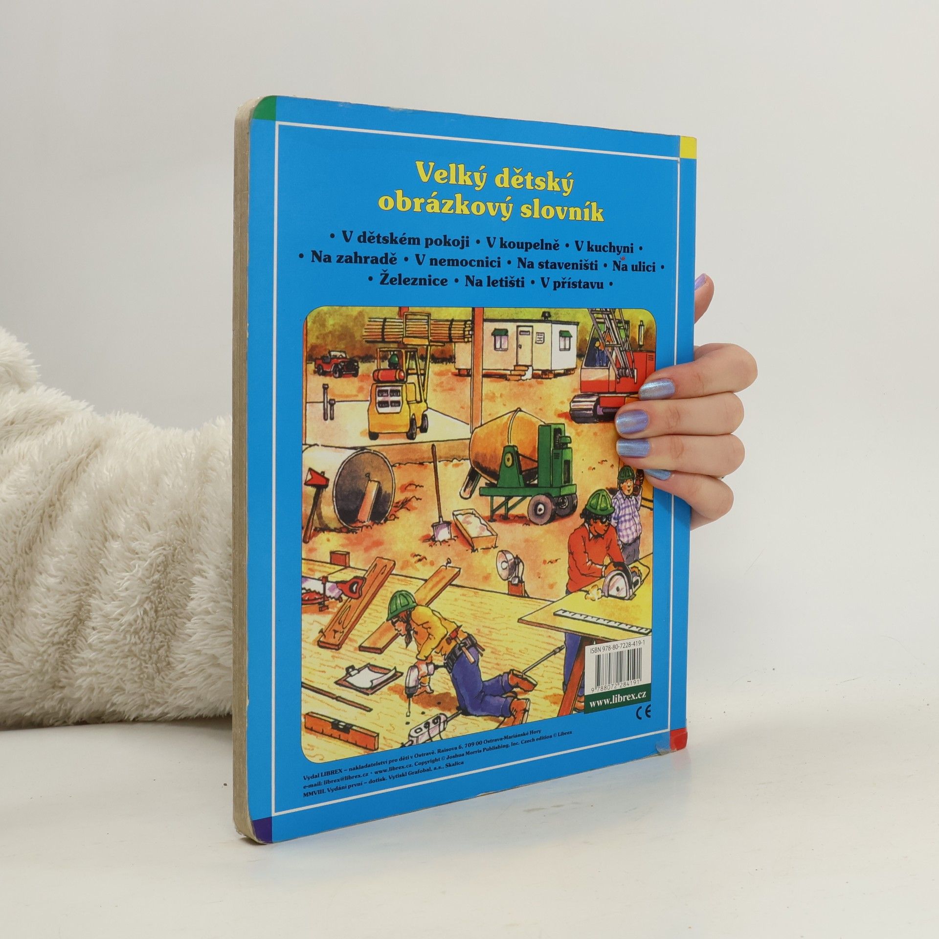 Autores varios Velký dětský obrázkový slovník. 3-5 let