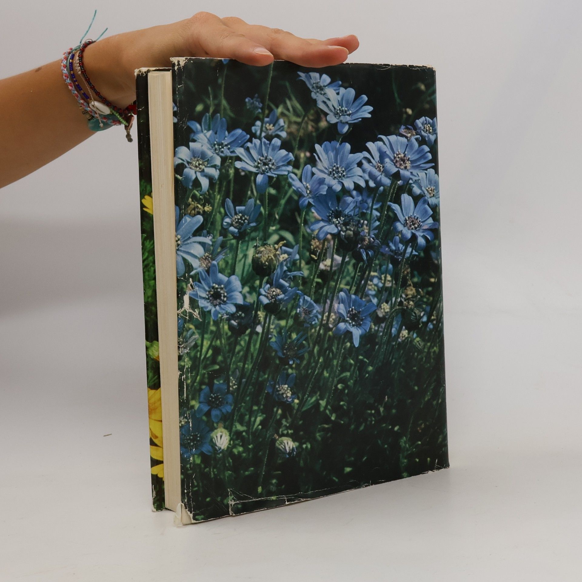 Willy Seyffert Sommer Blumen