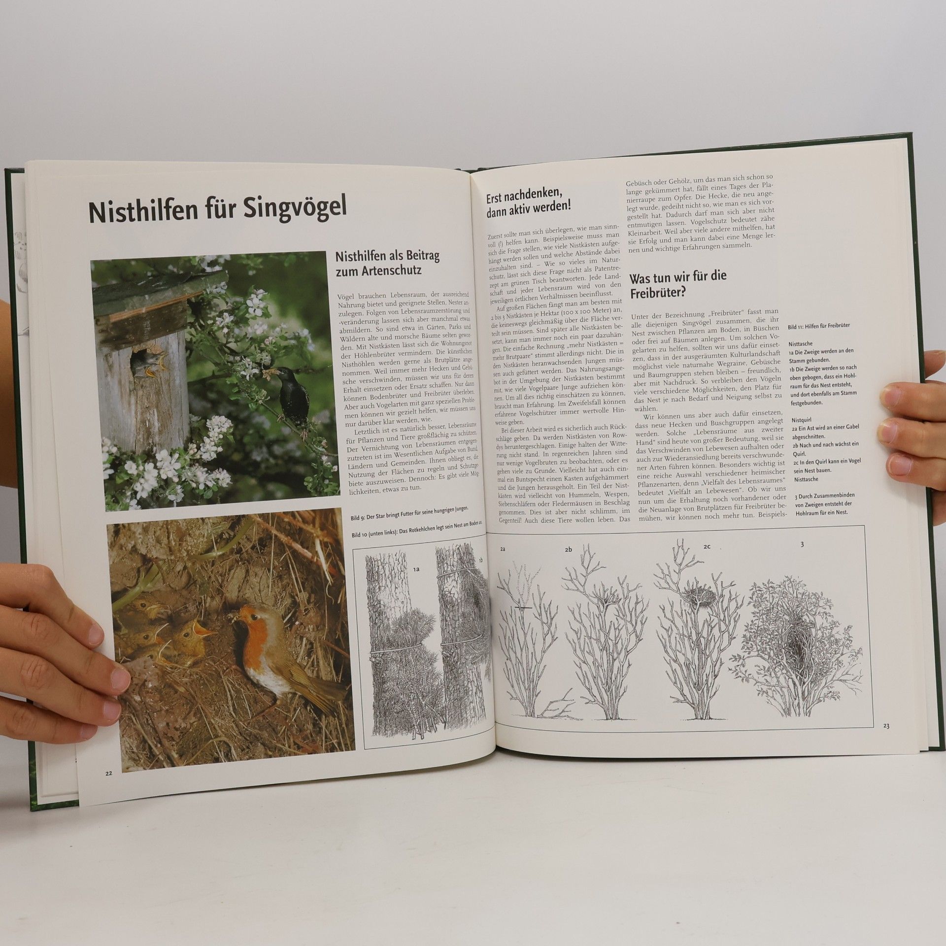 Autores varios Vögel