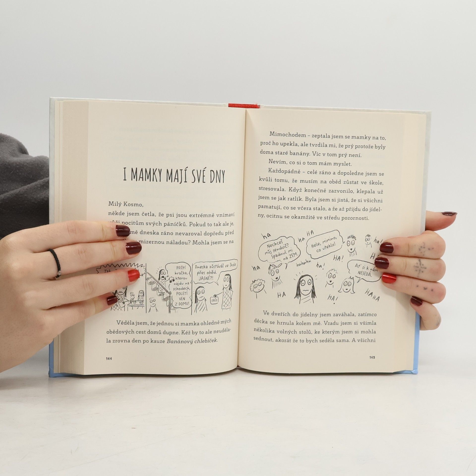 Sara Shepard Deník jedné páťačky