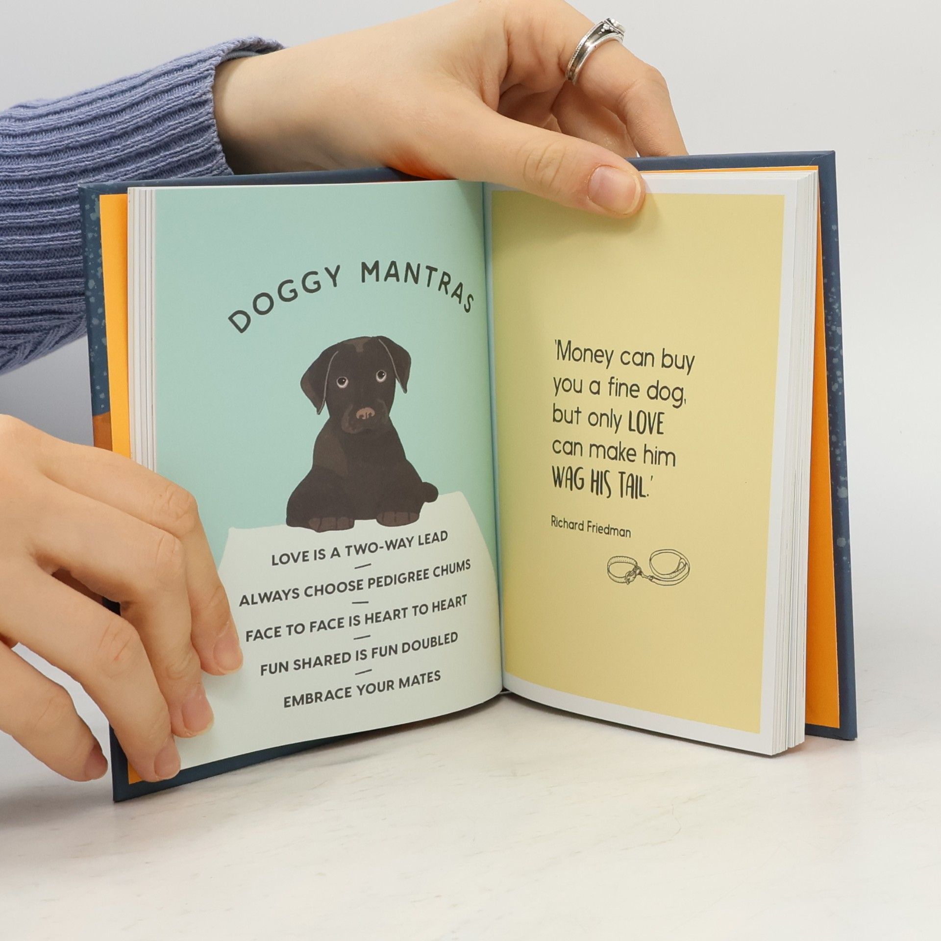 Alison Davies Be More Dog