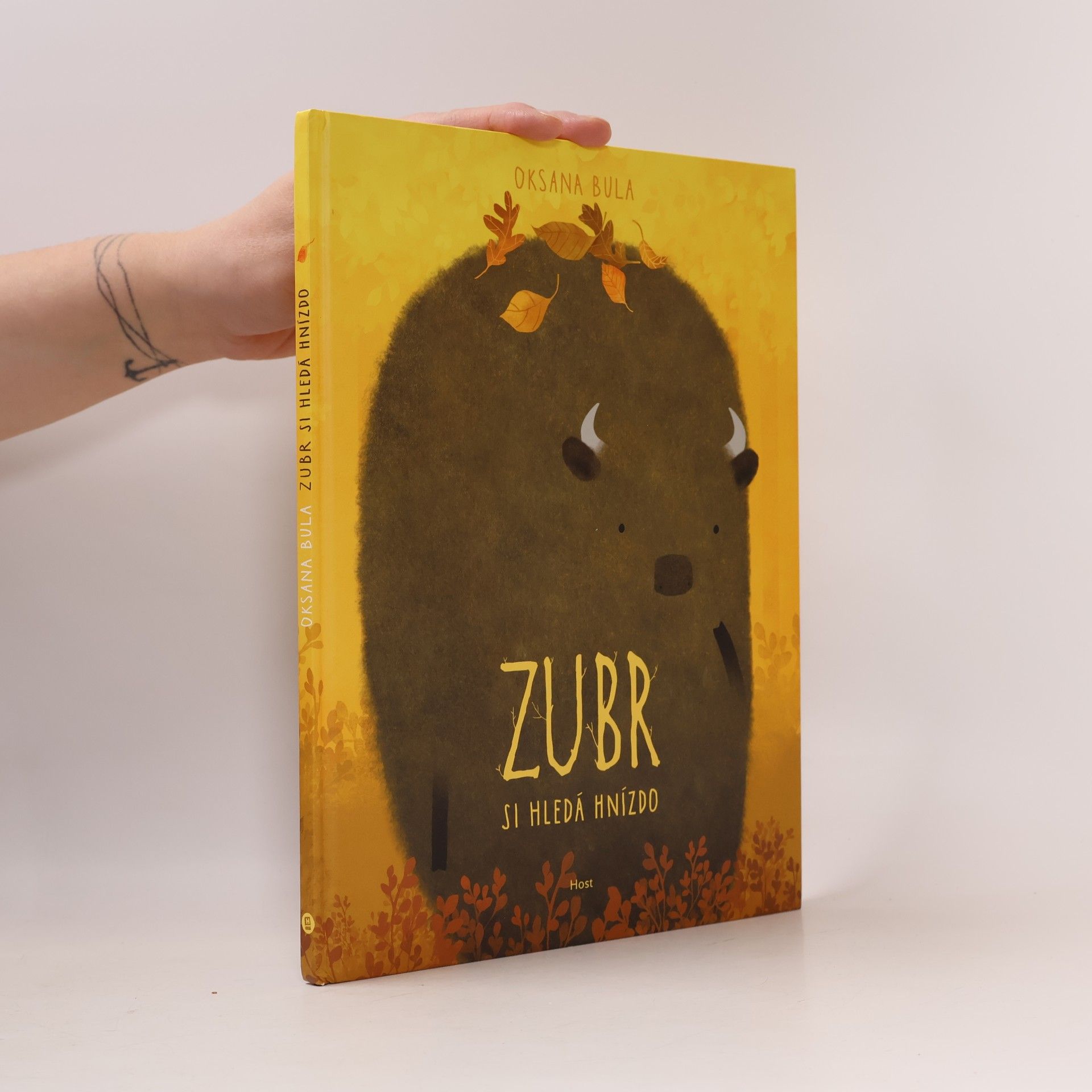 Zubr si hledá hnízdo