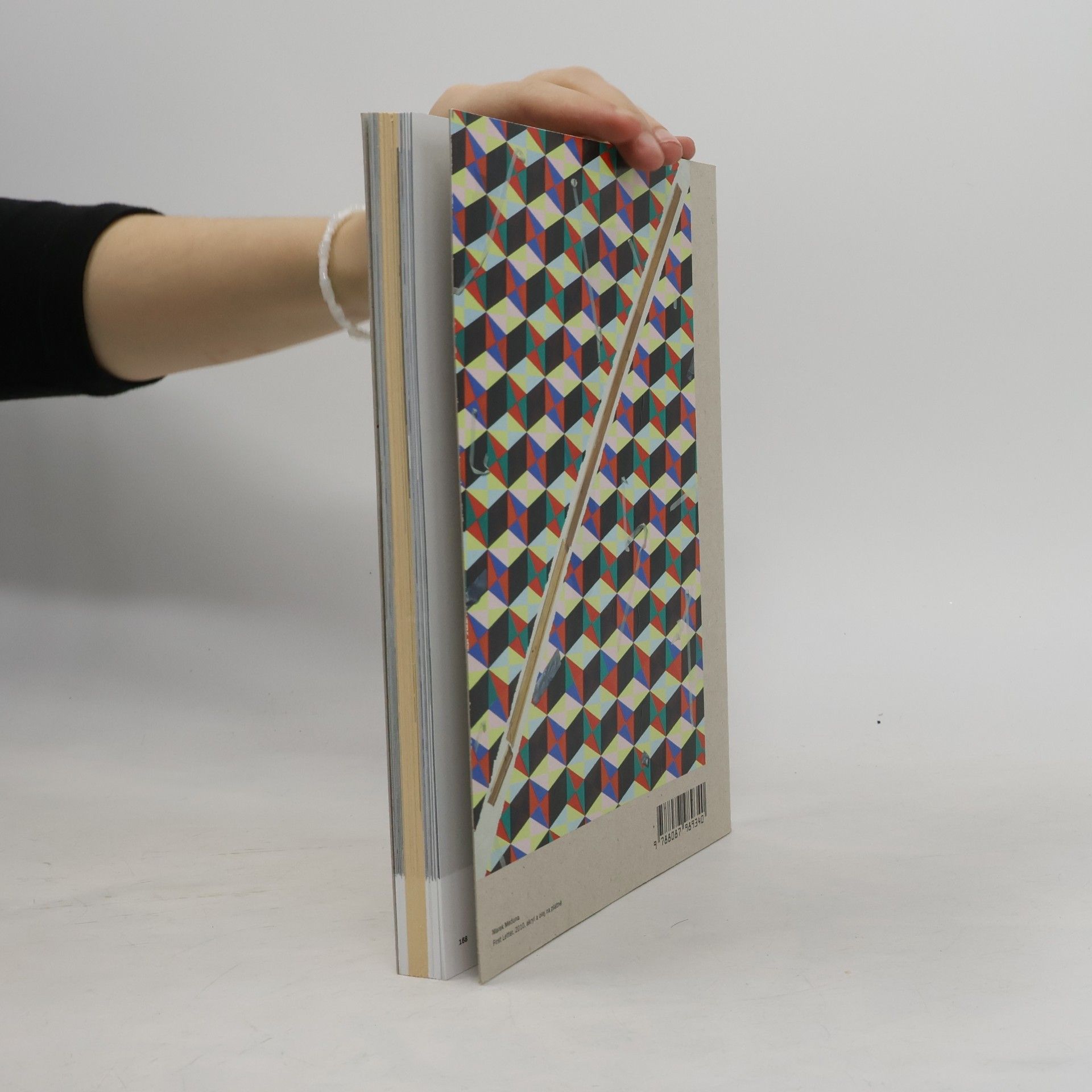Eva Skopalová Dolby 307 - Katalog Ateliéru malby UMPRUM 2010–2017