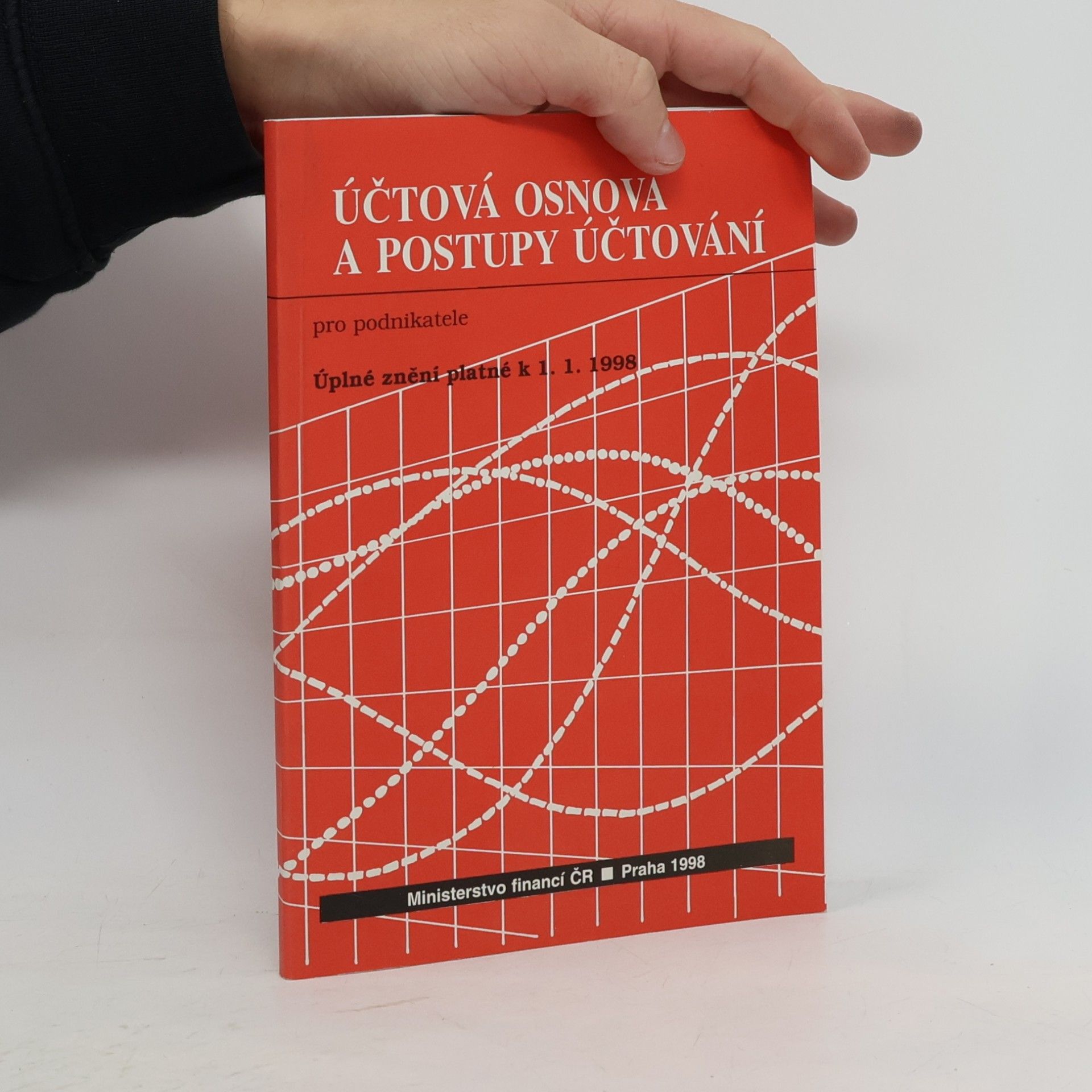 Auteurscollectief Účtová osnova a postupy účtování