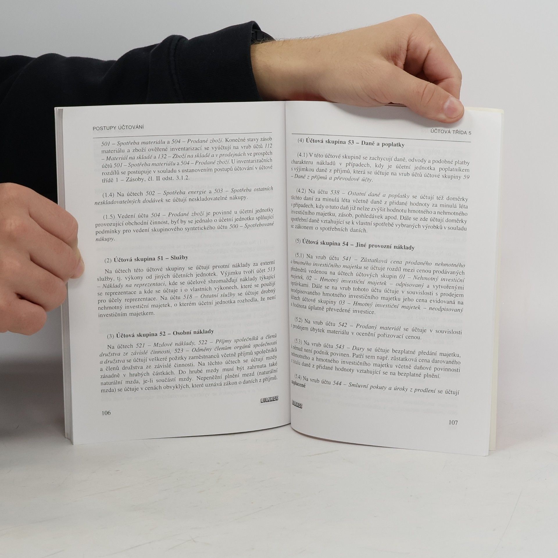 Auteurscollectief Účtová osnova a postupy účtování