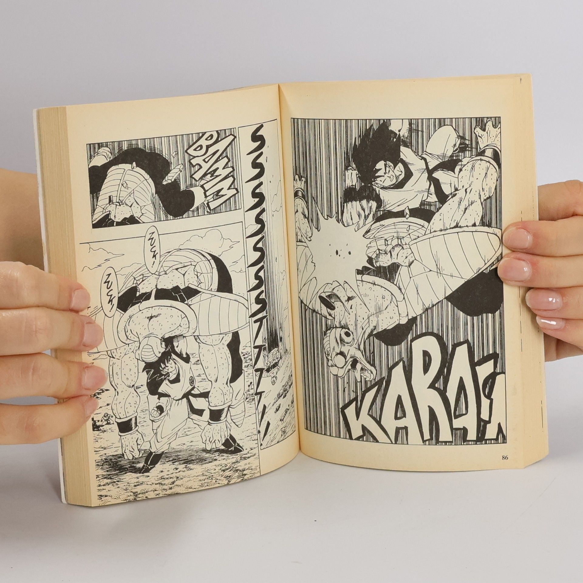 Akira Toriyama Dragon Ball 24