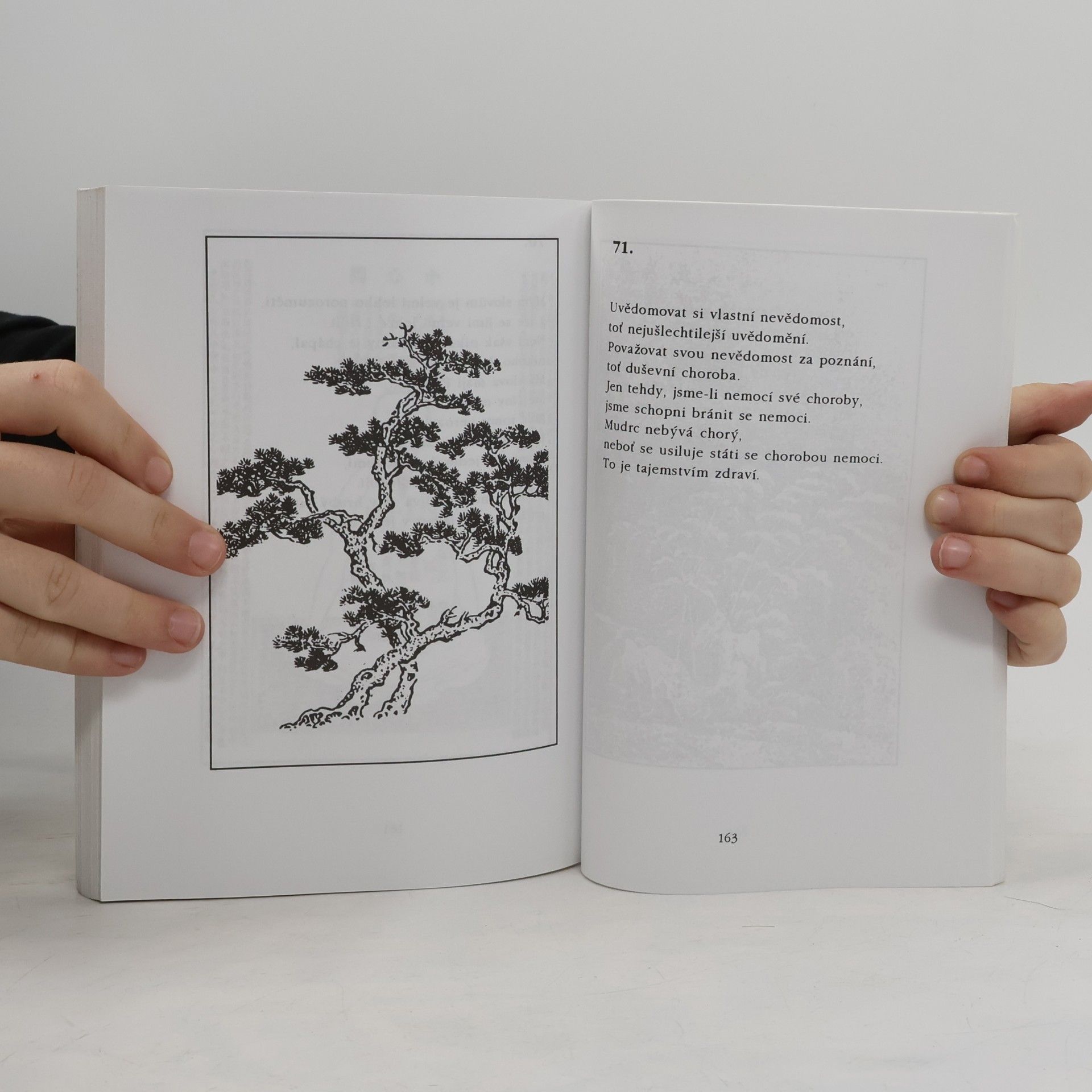 Lao-tzu Tao-te-ťing : kniha o tao a ctnosti