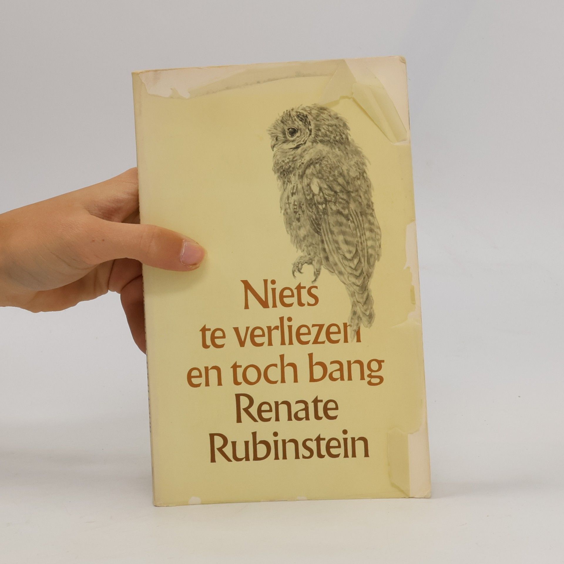 Renate Rubinstein Niets te verliezen en toch bang