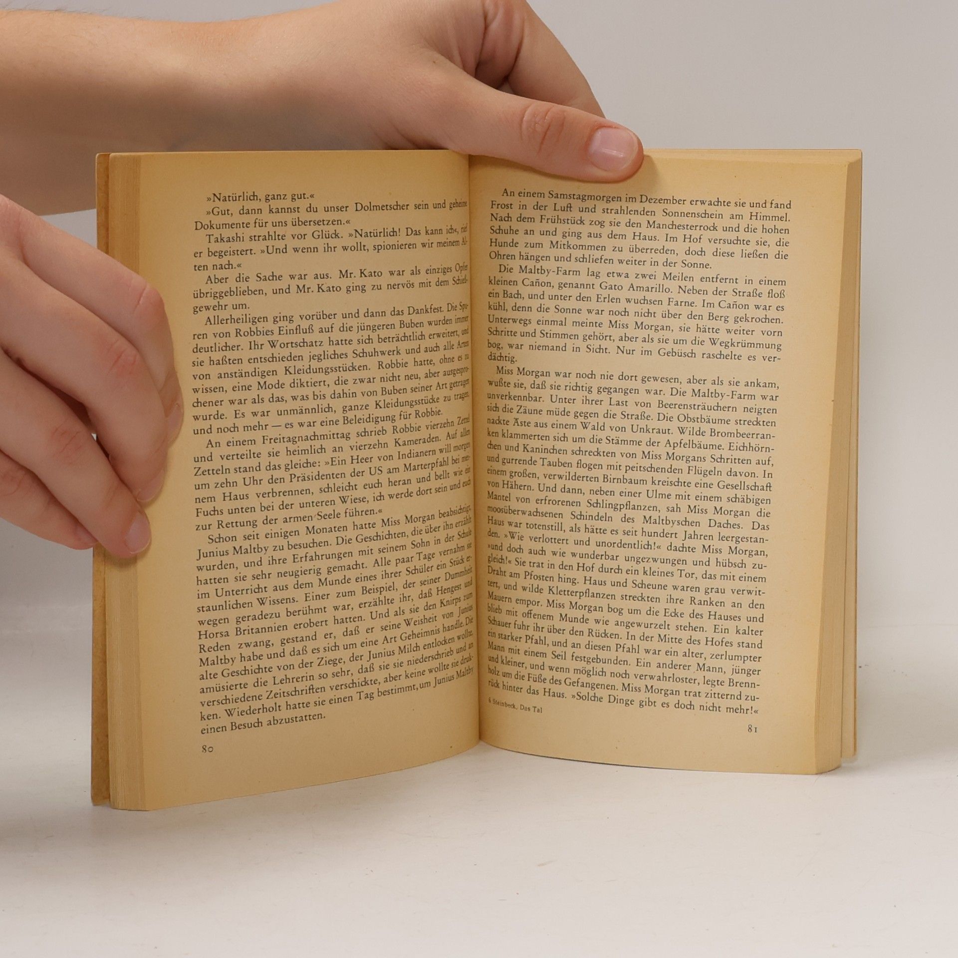 John Steinbeck Das Tal des Himmels
