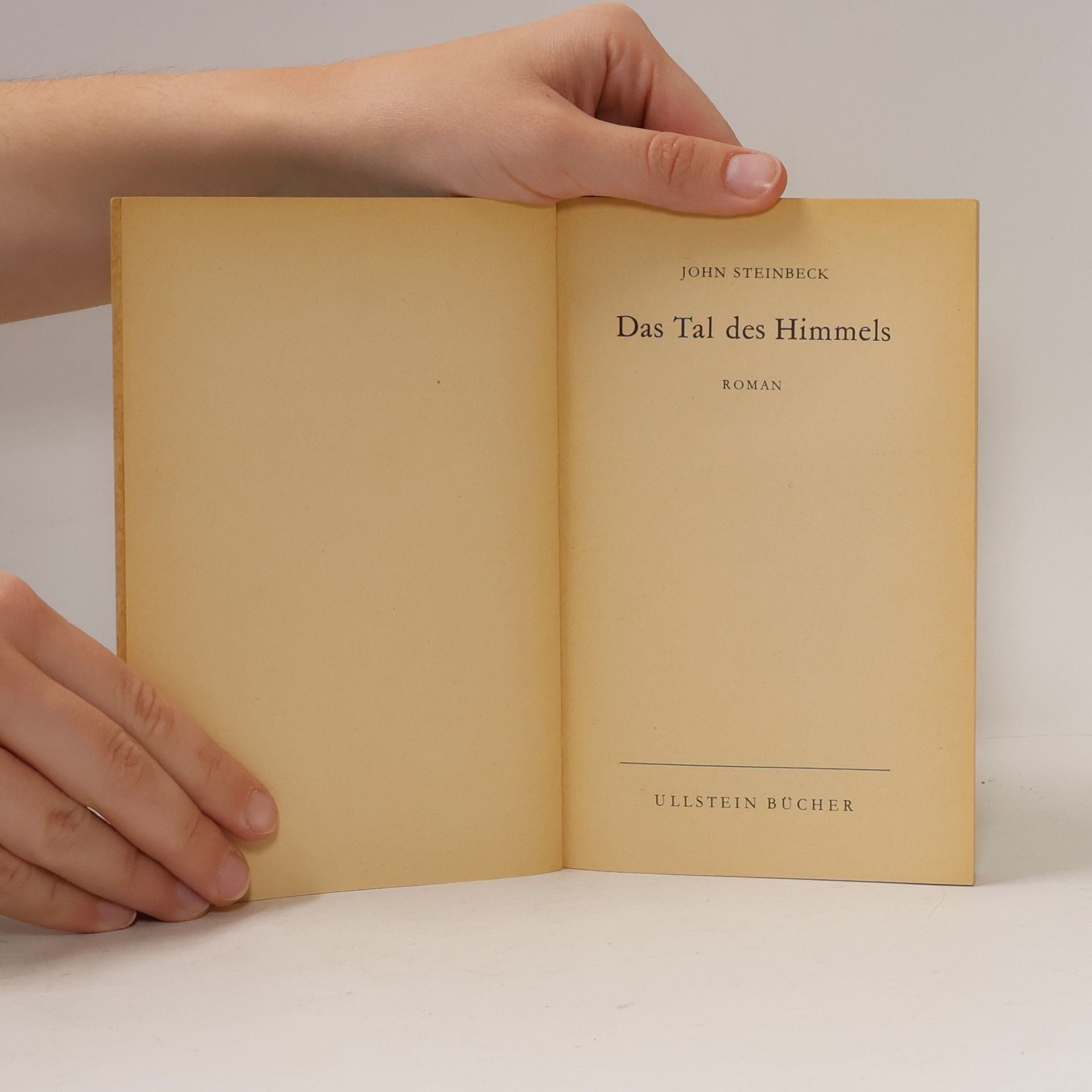 John Steinbeck Das Tal des Himmels