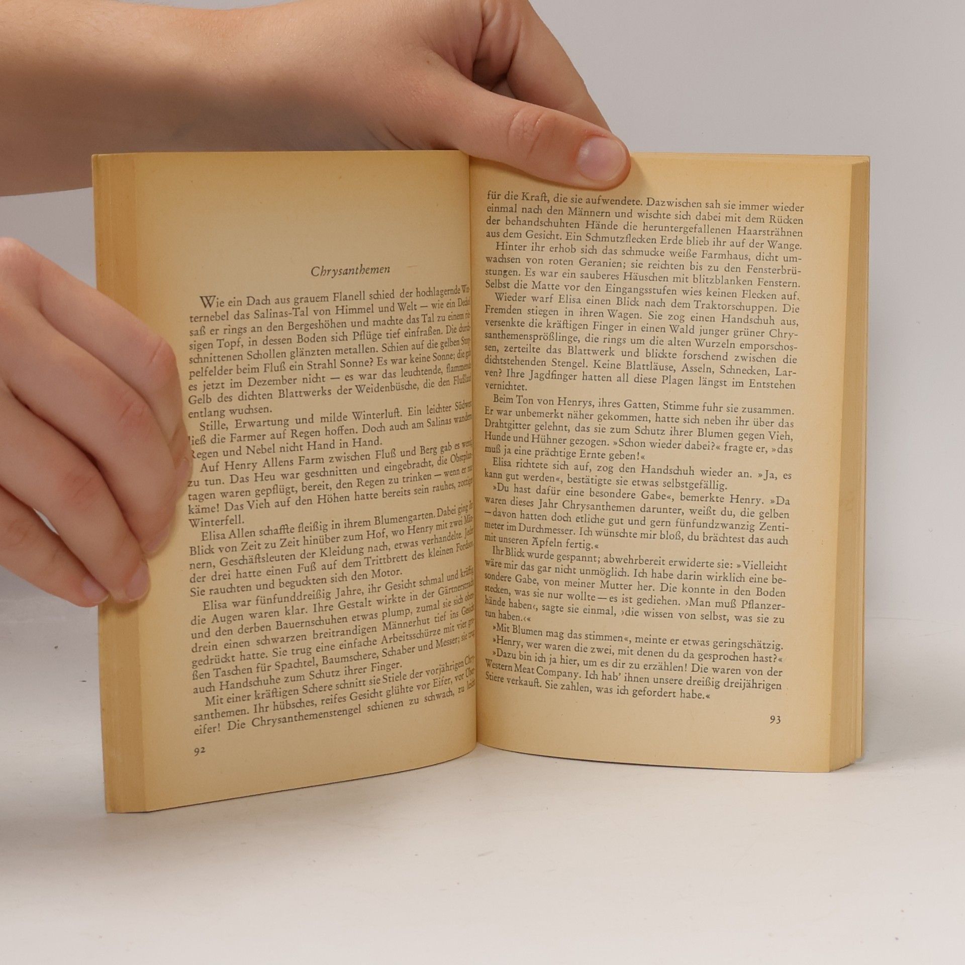 John Steinbeck Der rote Pony und andere Erzählungen