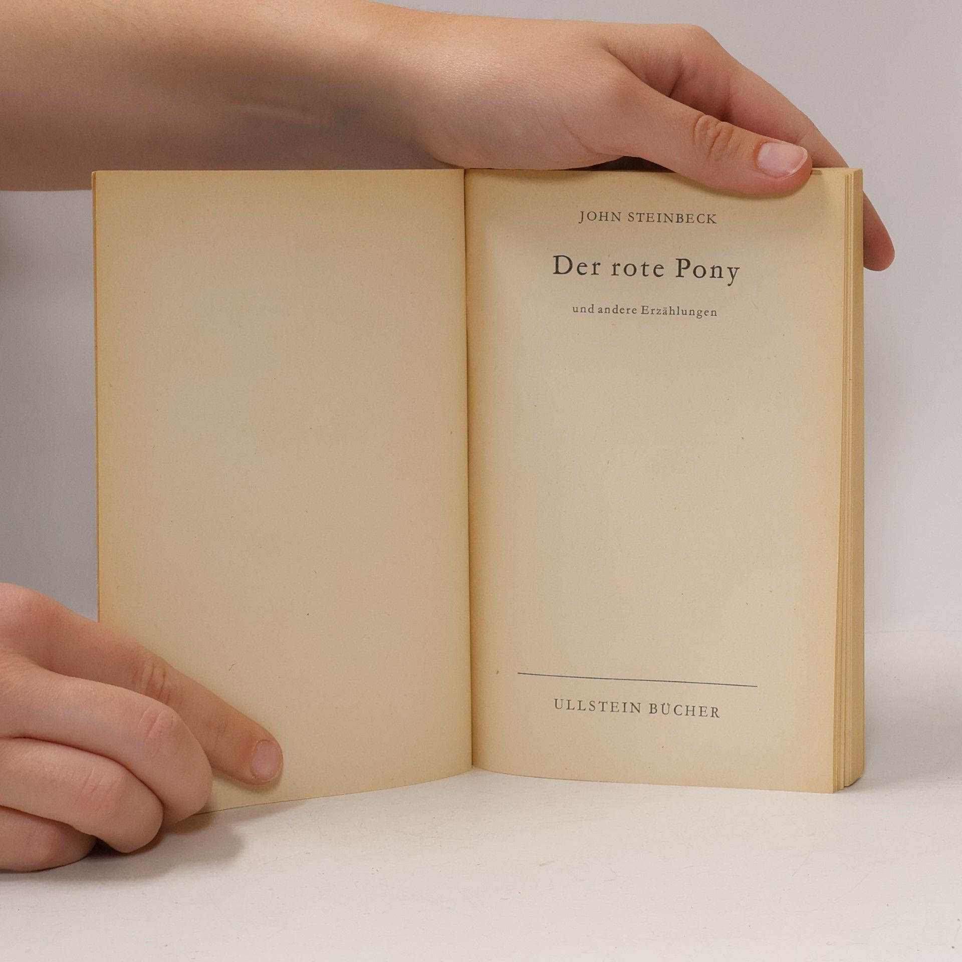 John Steinbeck Der rote Pony und andere Erzählungen