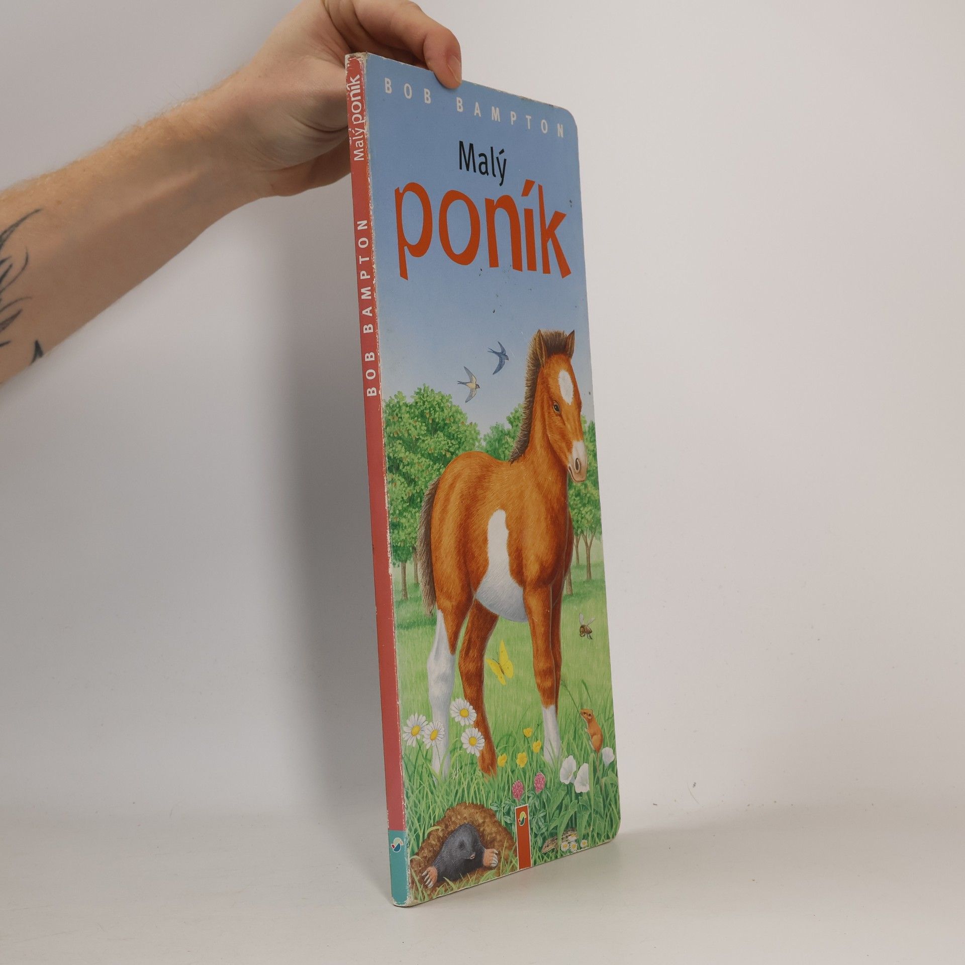 Malý poník