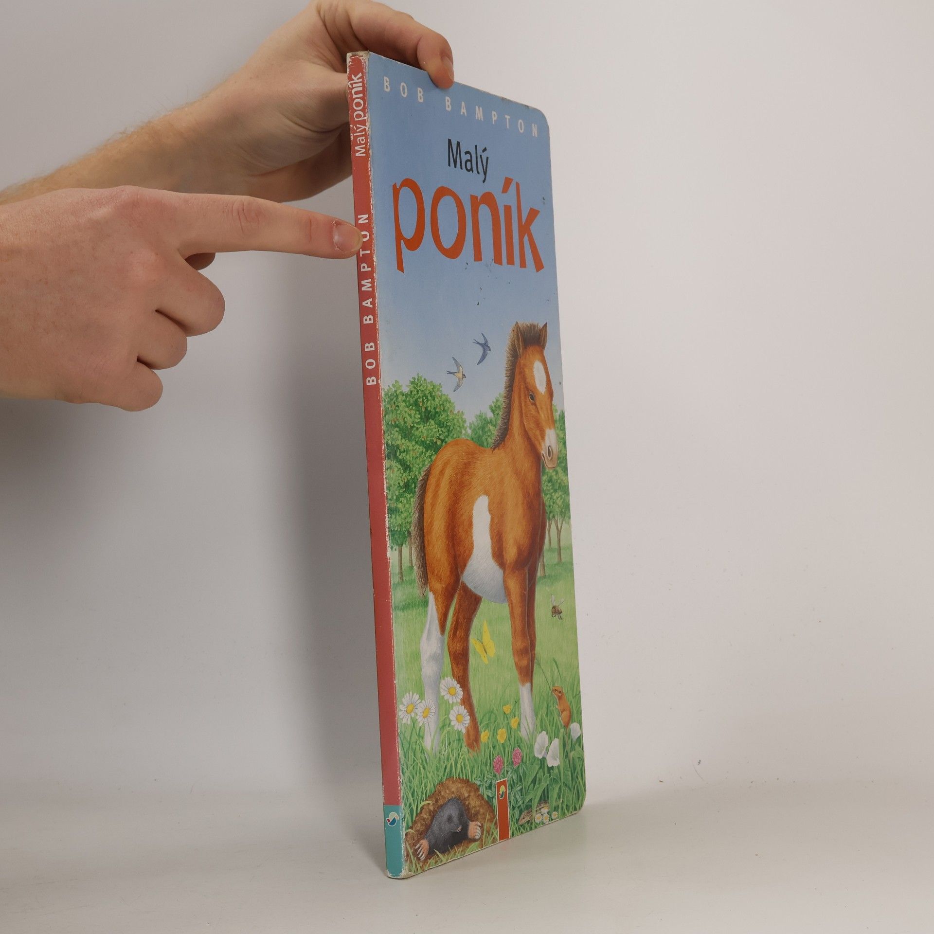 Bob Bampton Malý poník