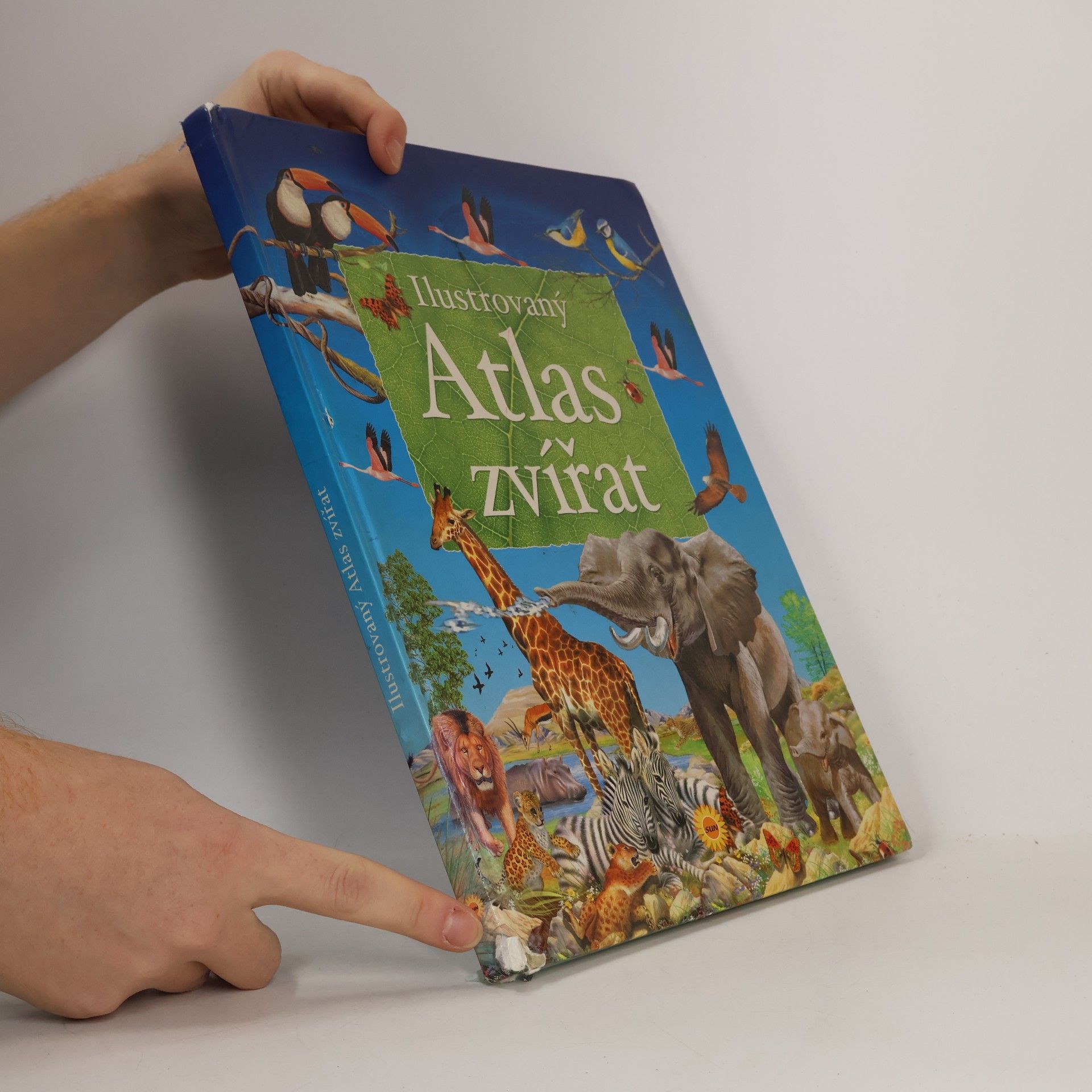 Francisco Arredondo Ilustrovaný atlas zvířat