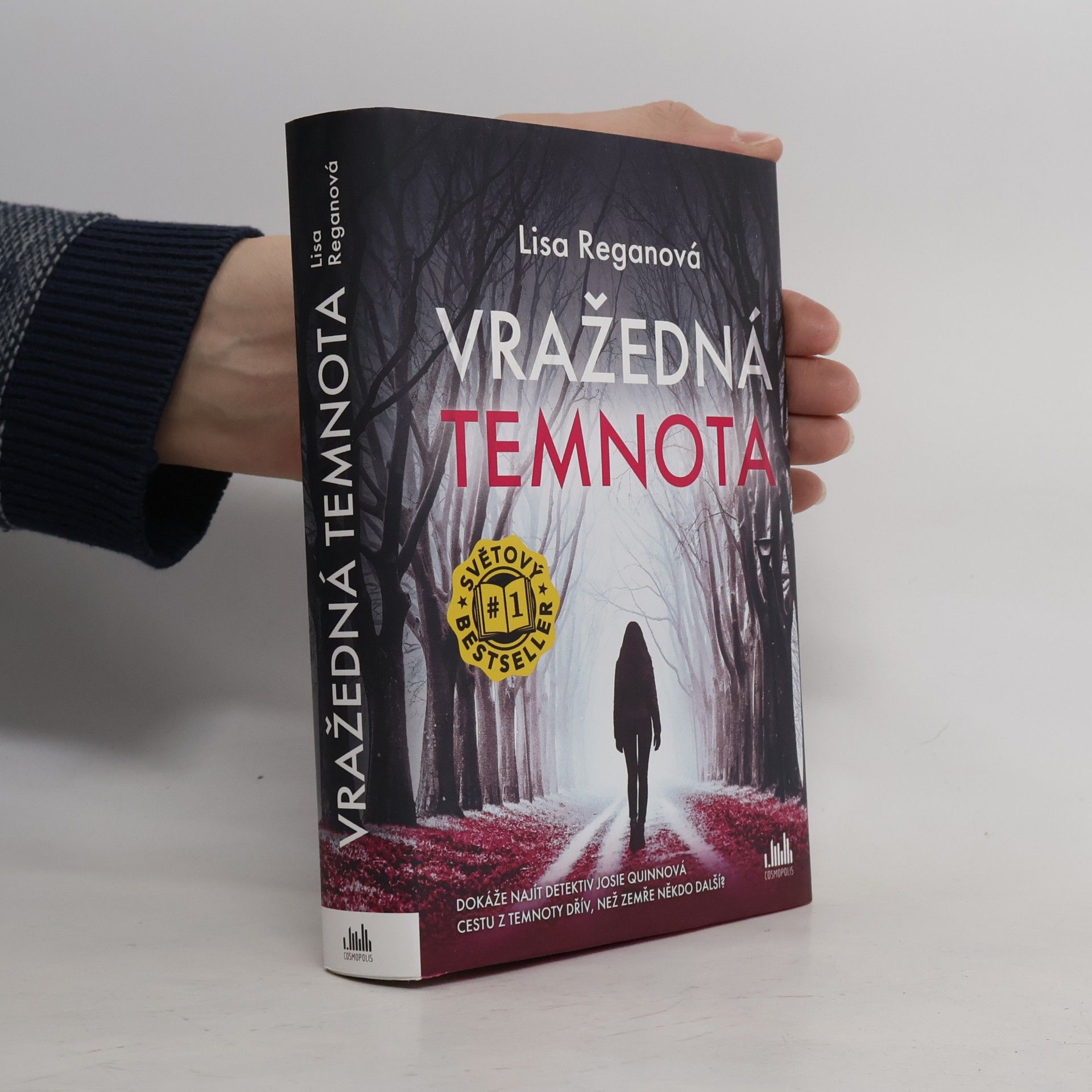 Lisa Regan Vražedná temnota