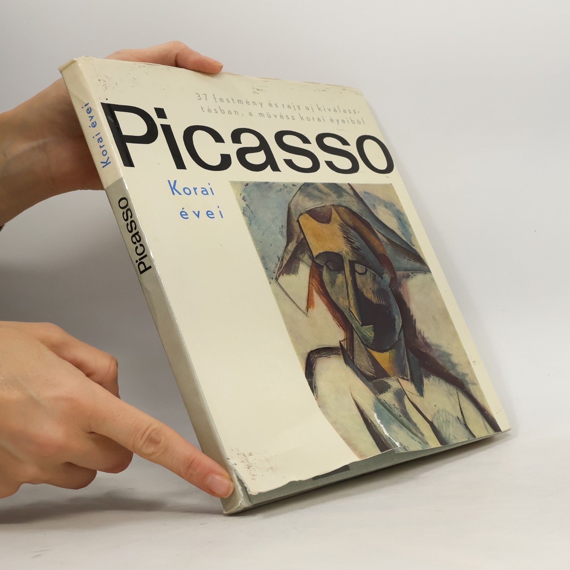 Alexander Paul Picasso